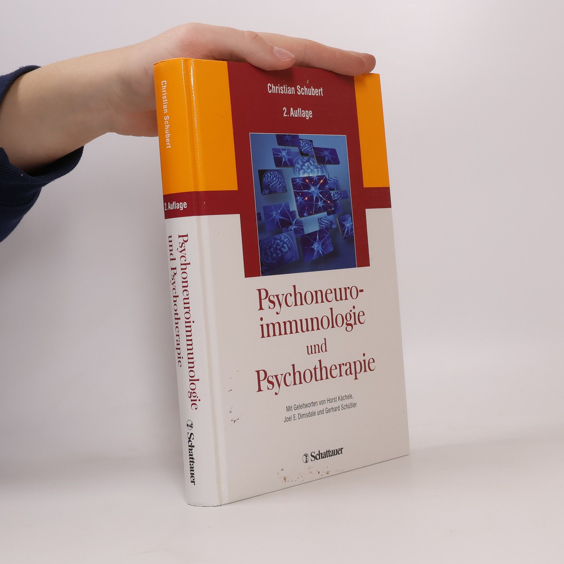 Psychoneuroimmunologie und Psychotherapie