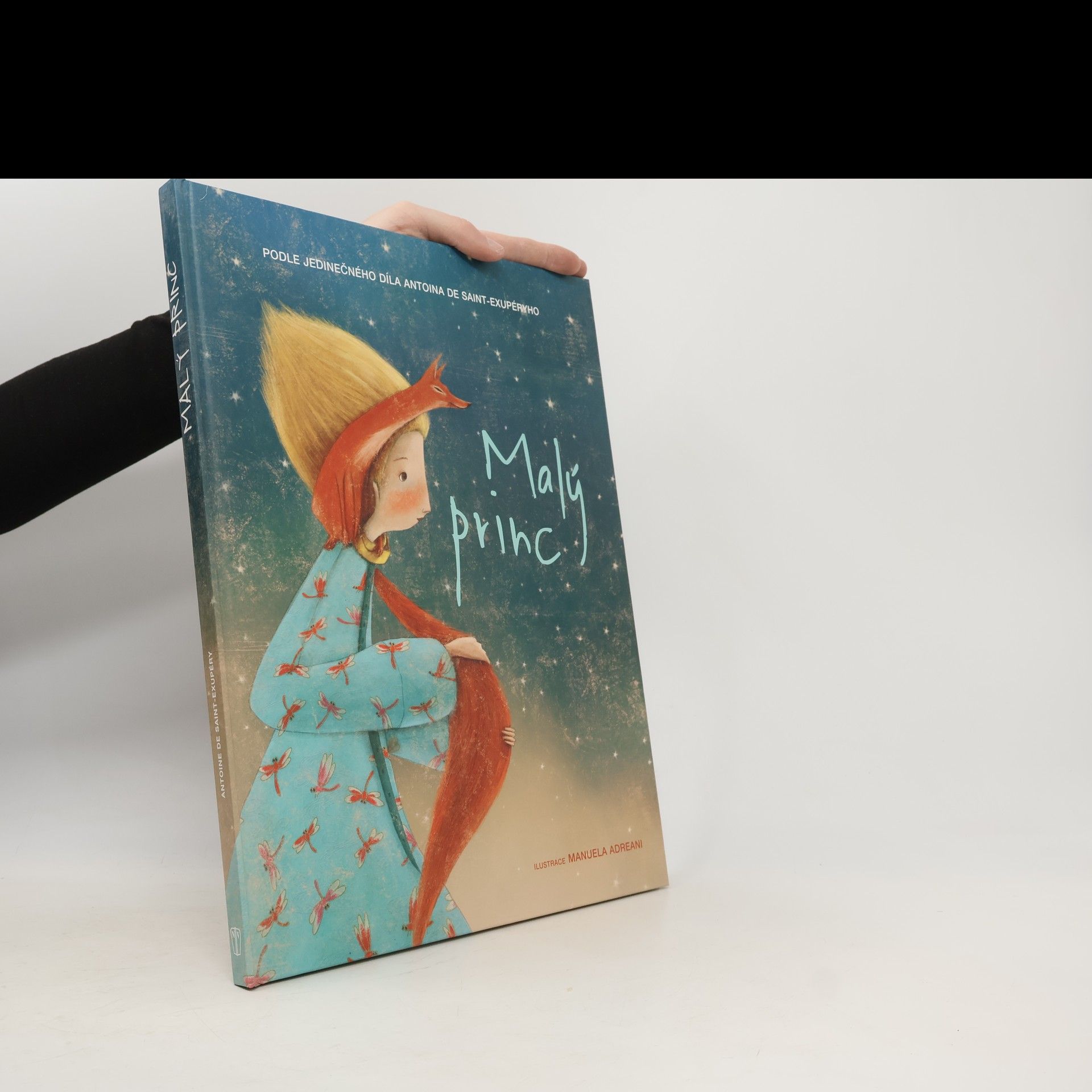 Valeria Manferto Malý princ (převyprávění)