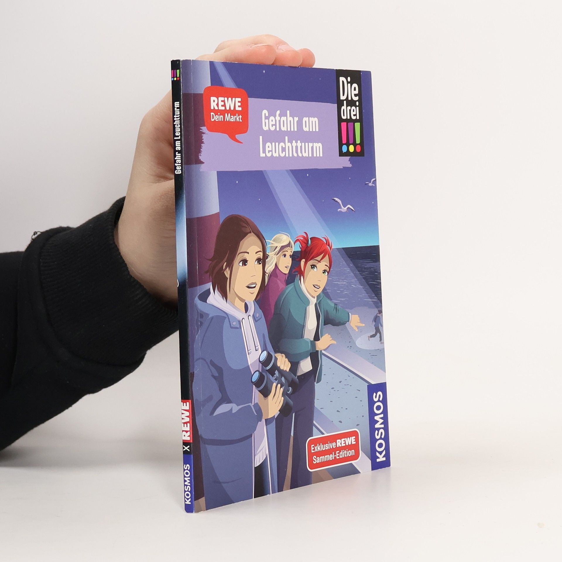 Kolektív autorov Die drei !!! Gefahr am Leuchtturm