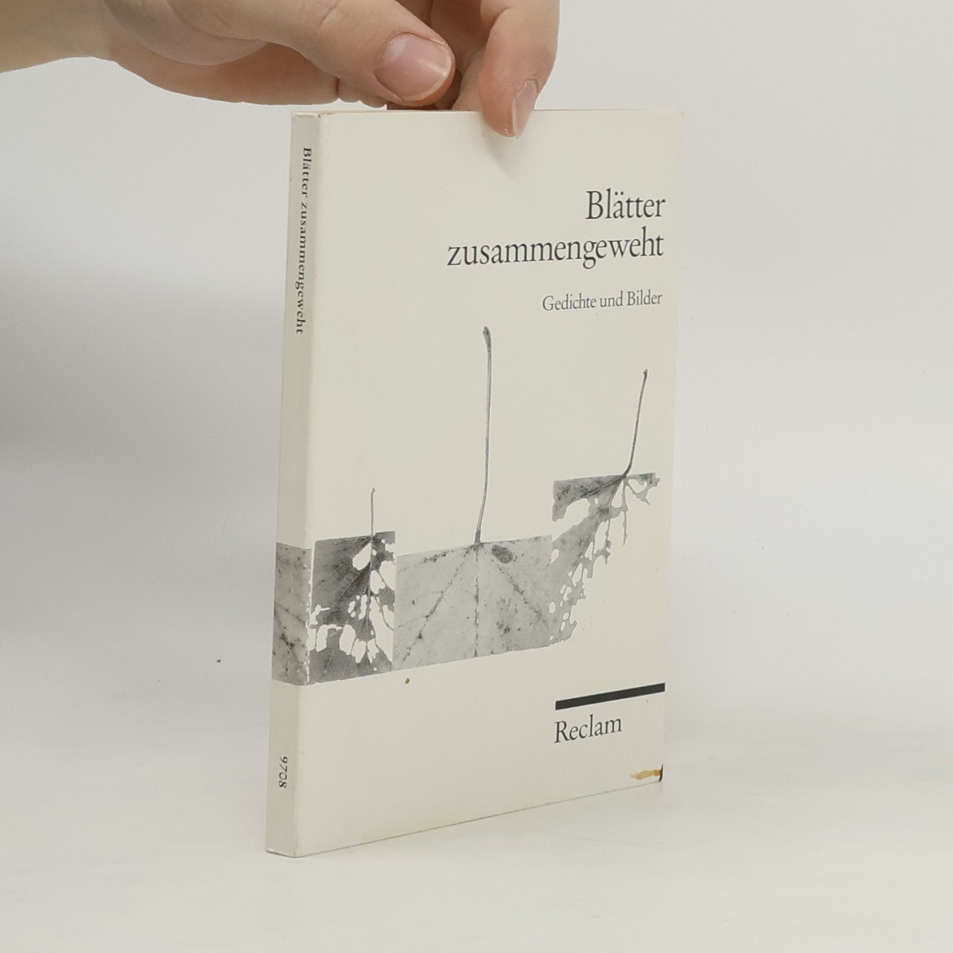 Ulrichadolf Namislow Blätter zusammengeweht