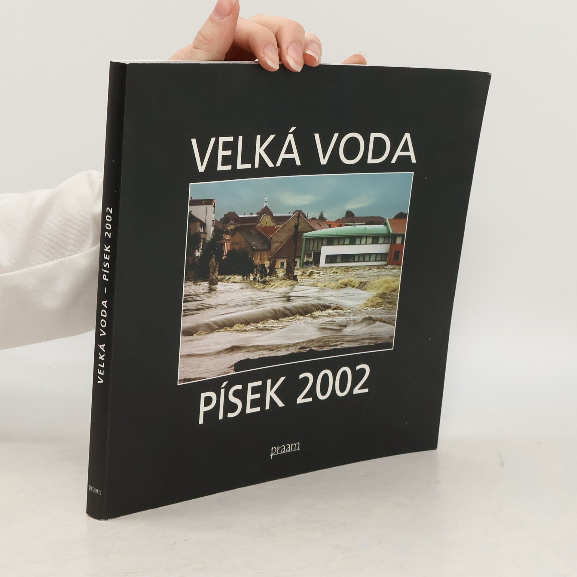 Velká voda objektivem píseckých fotografů. Písek 2002