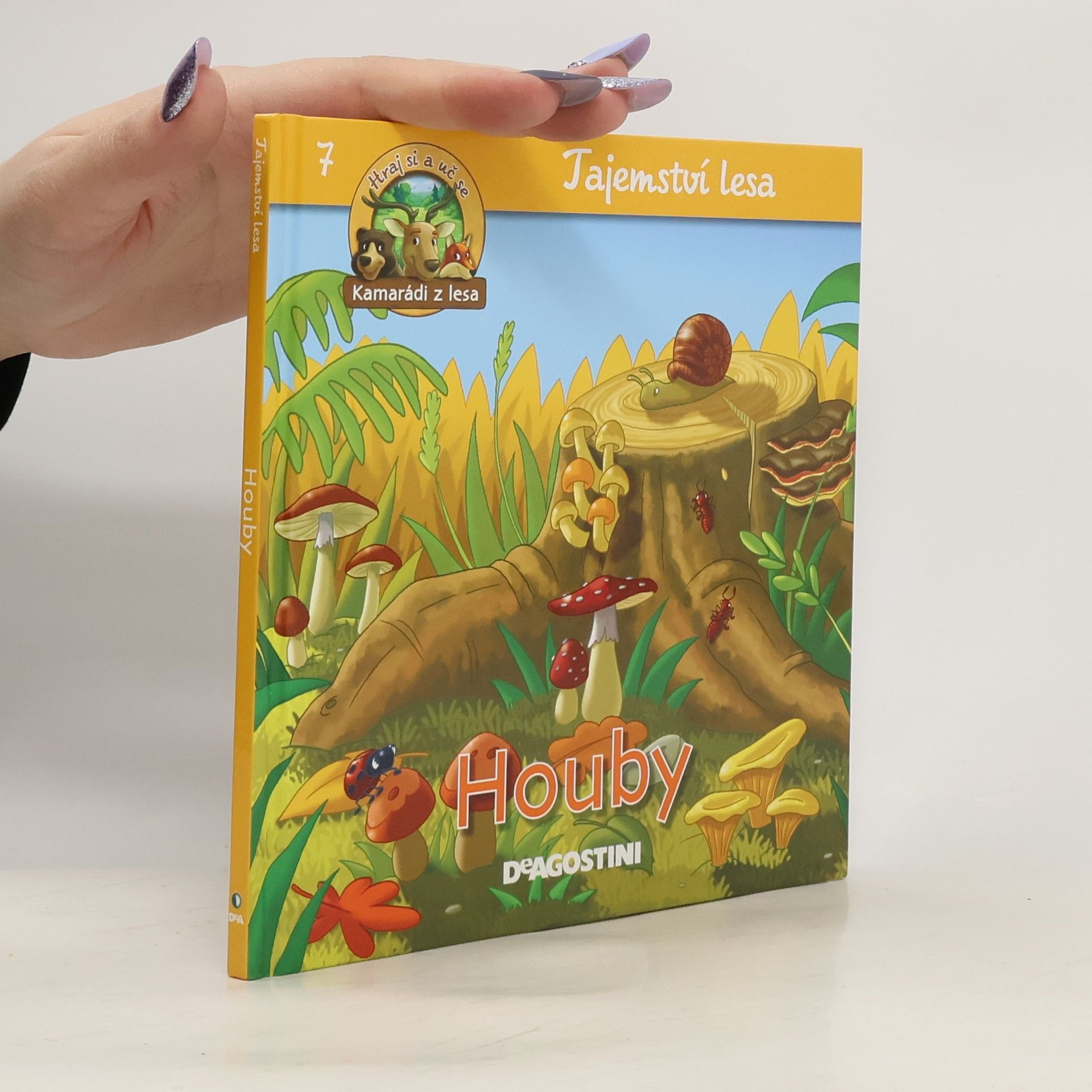 Auteurscollectief Tajemství lesa 7. Houby