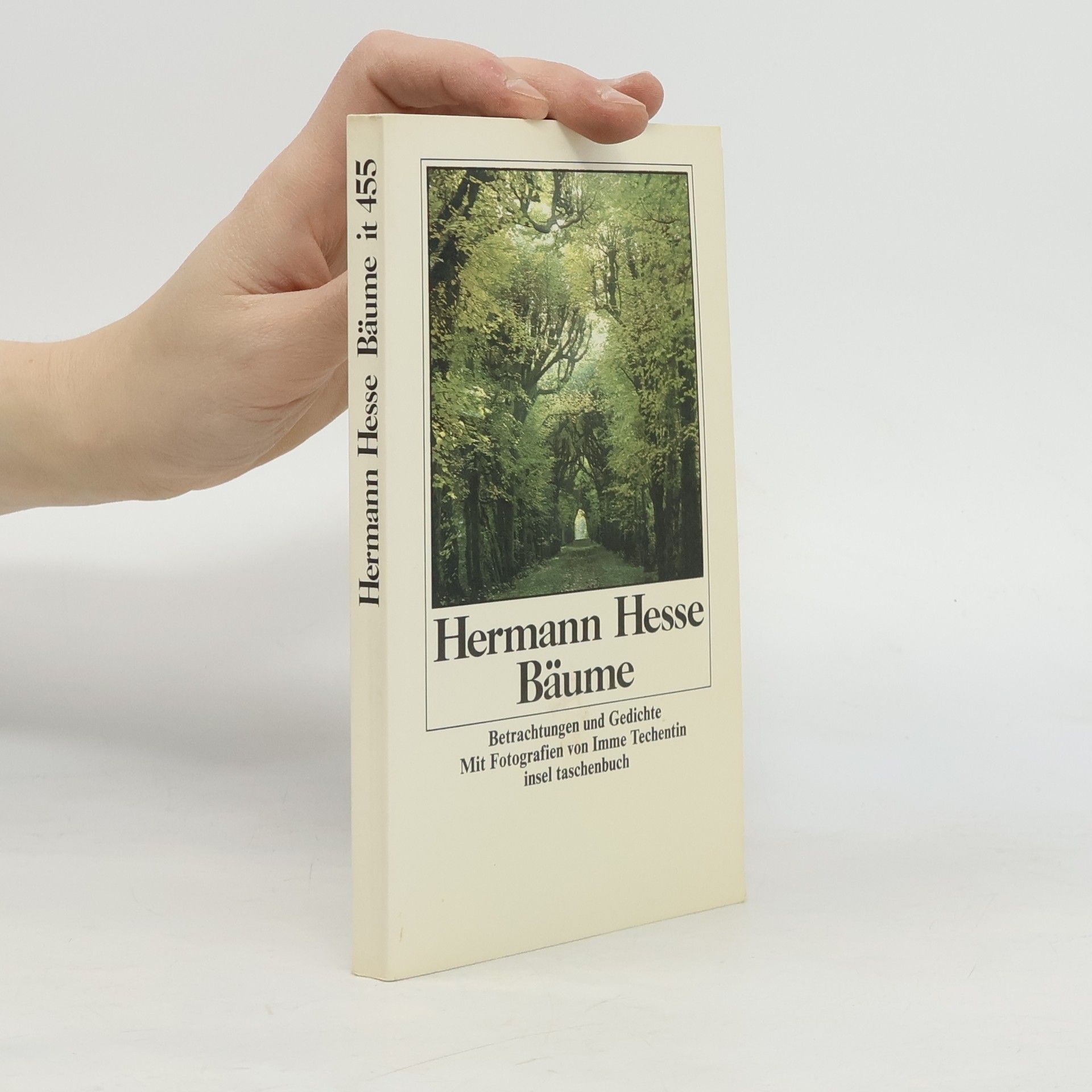 Hermann Hesse Bäume