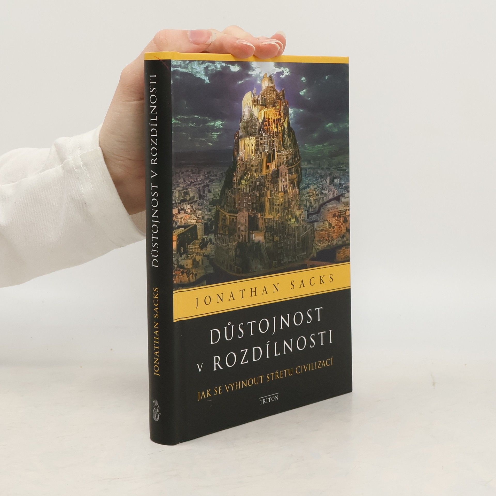 Důstojnost v rozdílnosti: Jak se vyhnout střetu civilizací