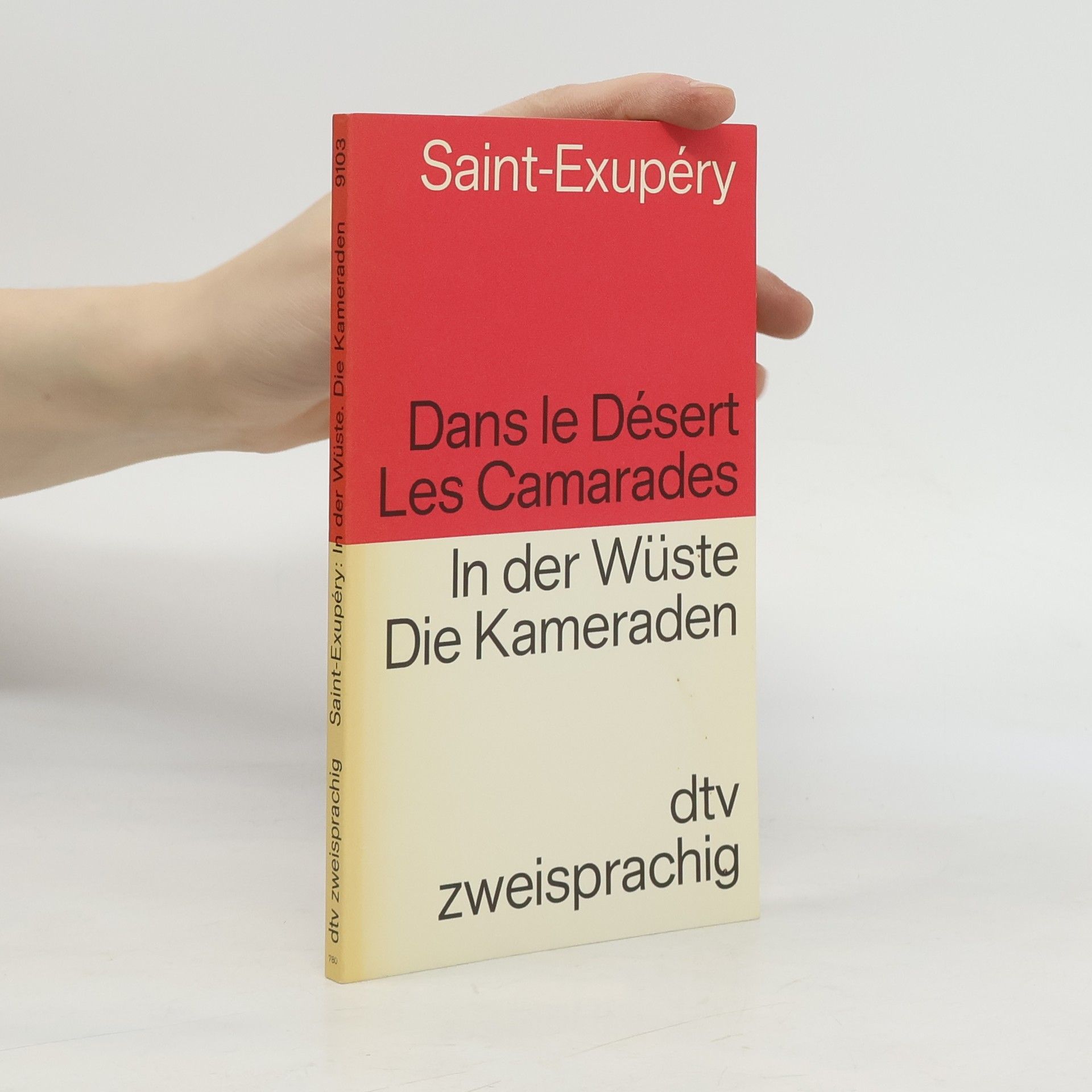 Antoine de Saint-Exupéry Dans le Désert Les Camarades, In der Wuste Die Kameraden