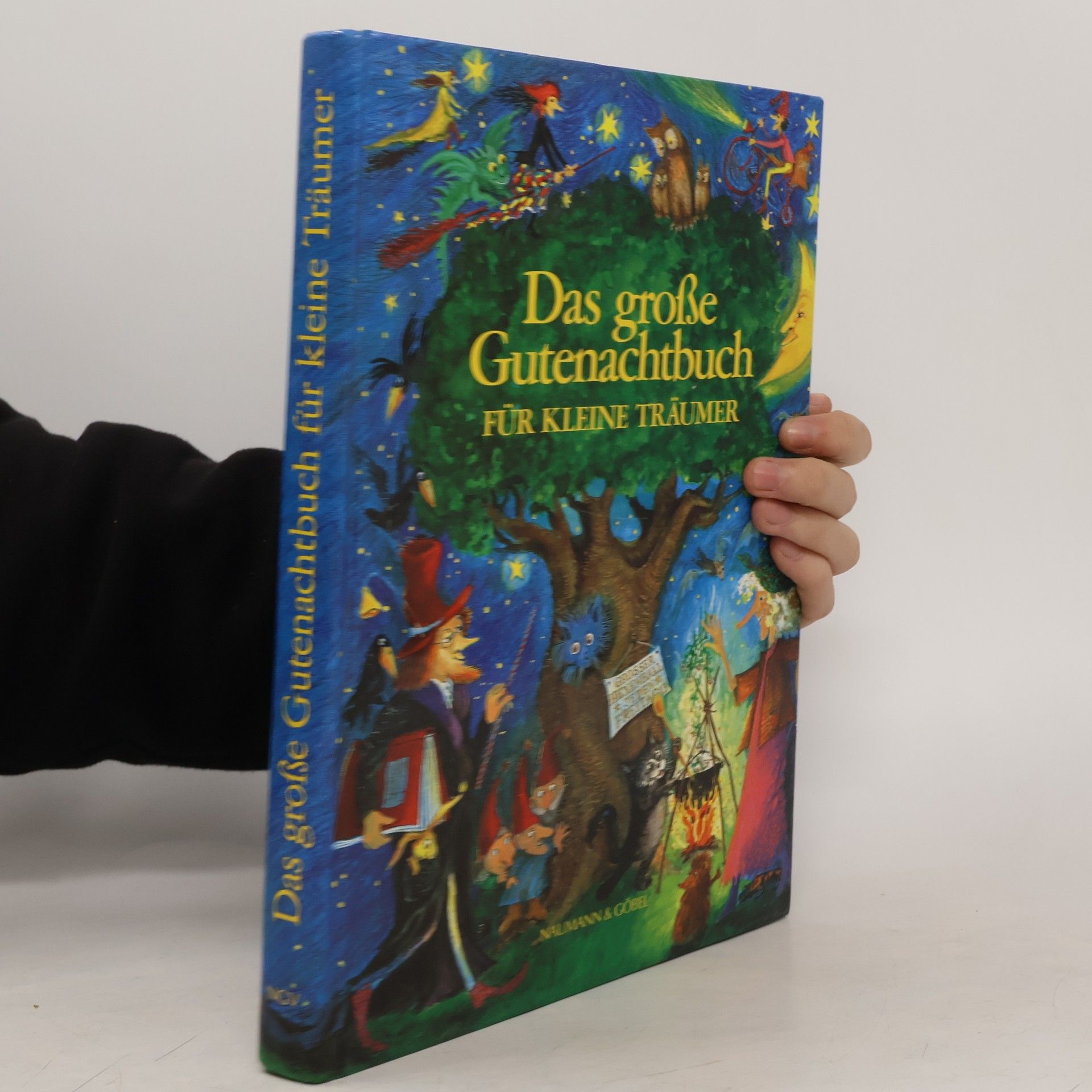 Das grosse Gutenachtbuch für kleine Träumer