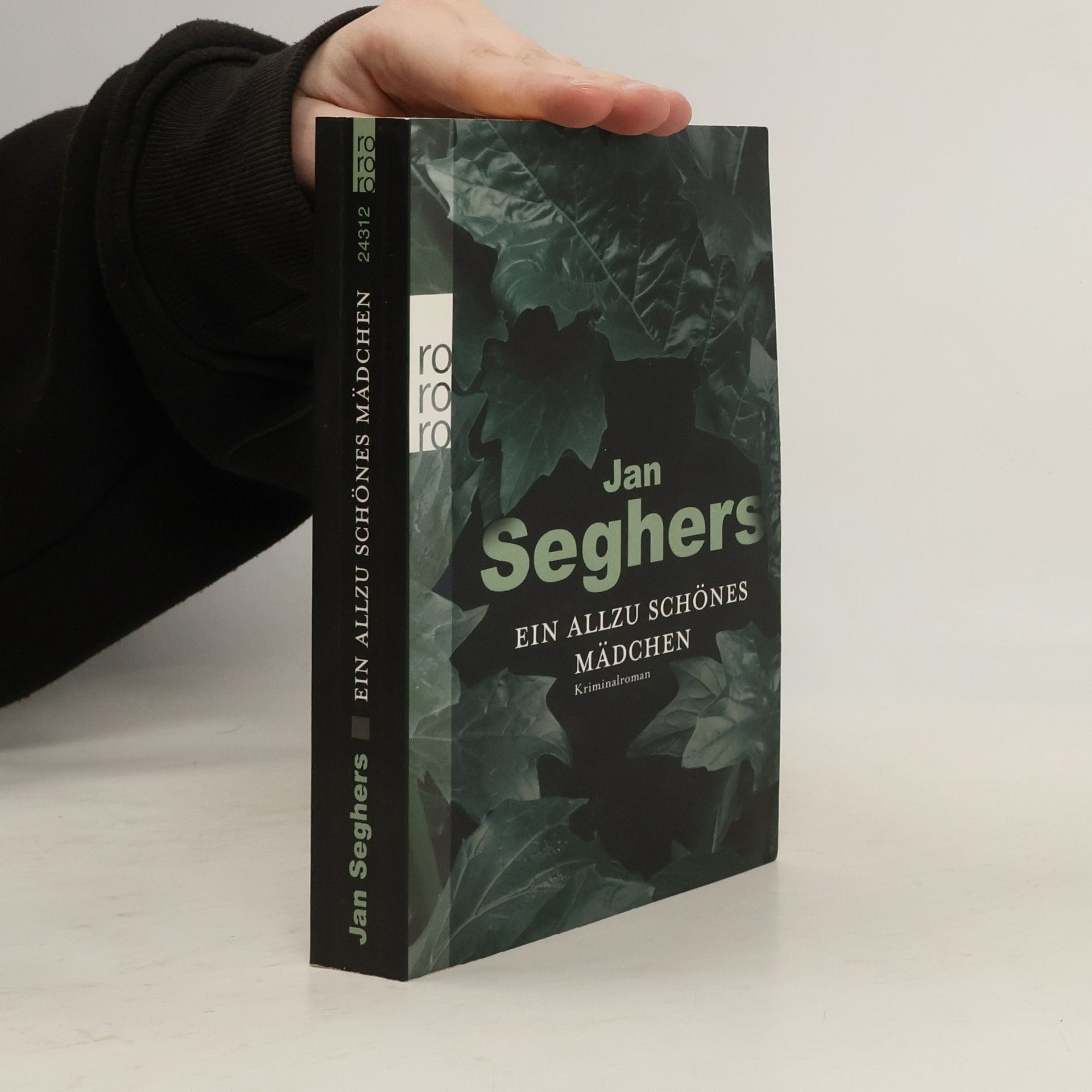 Jan Seghers Ein allzu schönes Mädchen