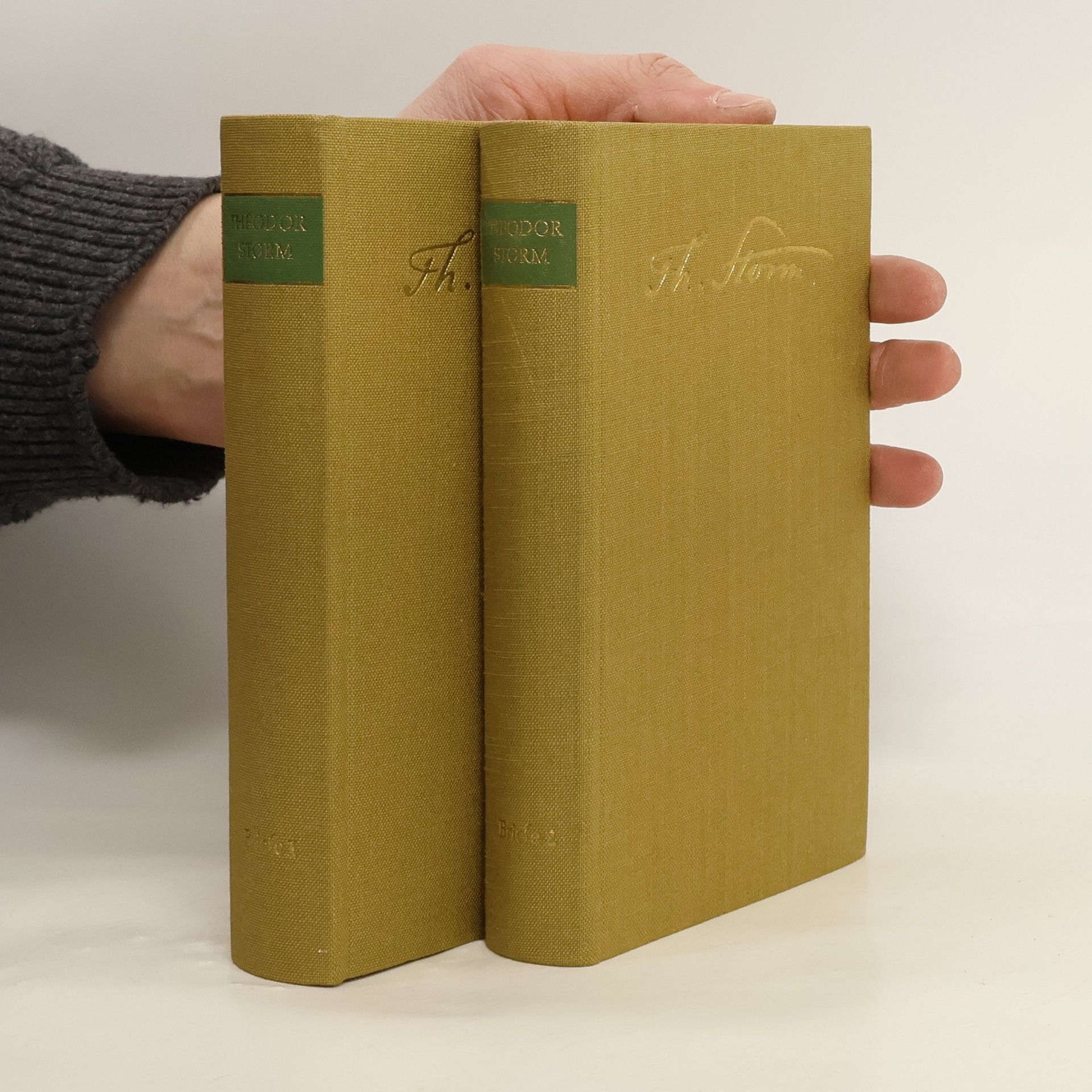 Theodor Storm Briefe 1.-2.