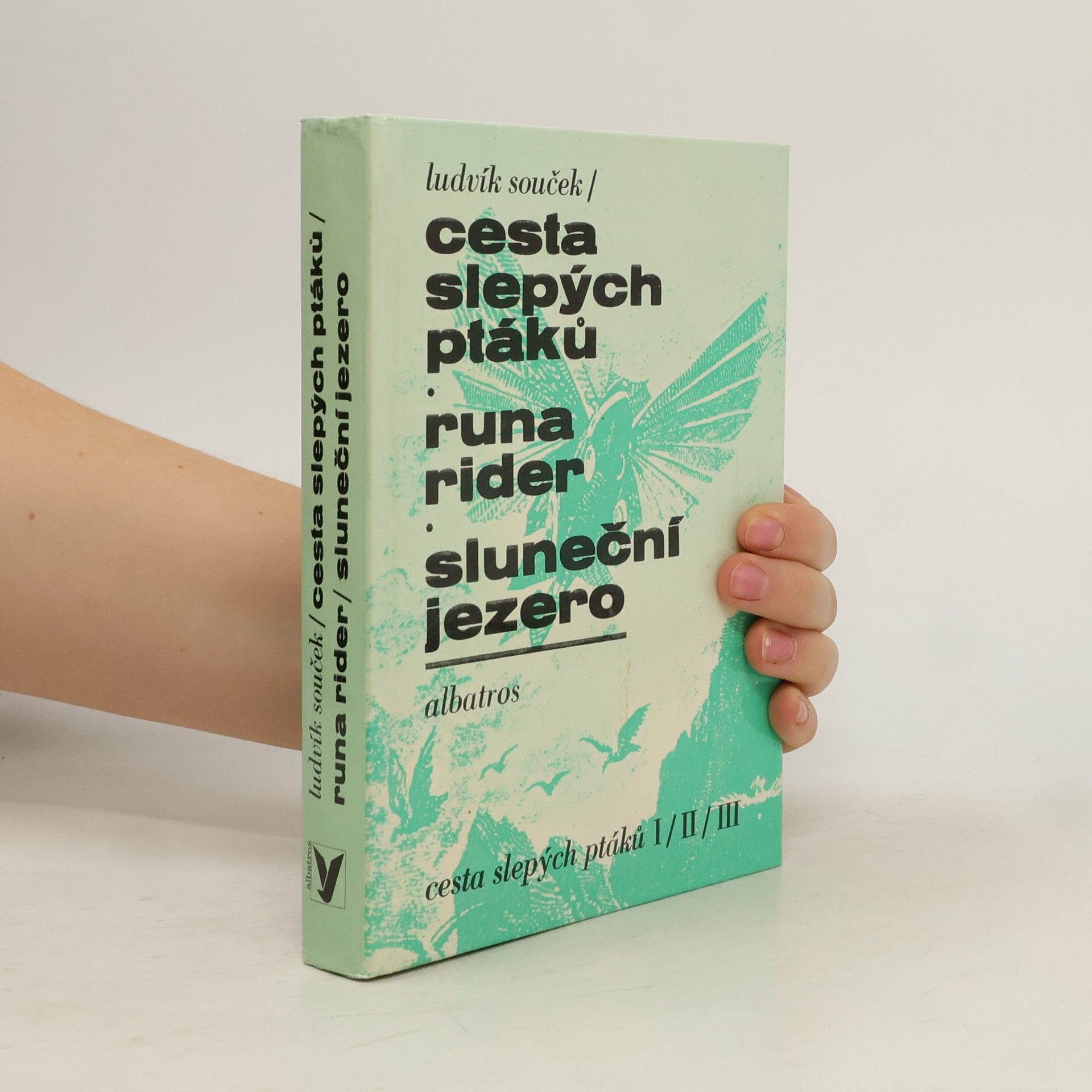 Ludvík Souček Cesta slepých ptáků, Runa rider, Sluneční jezero
