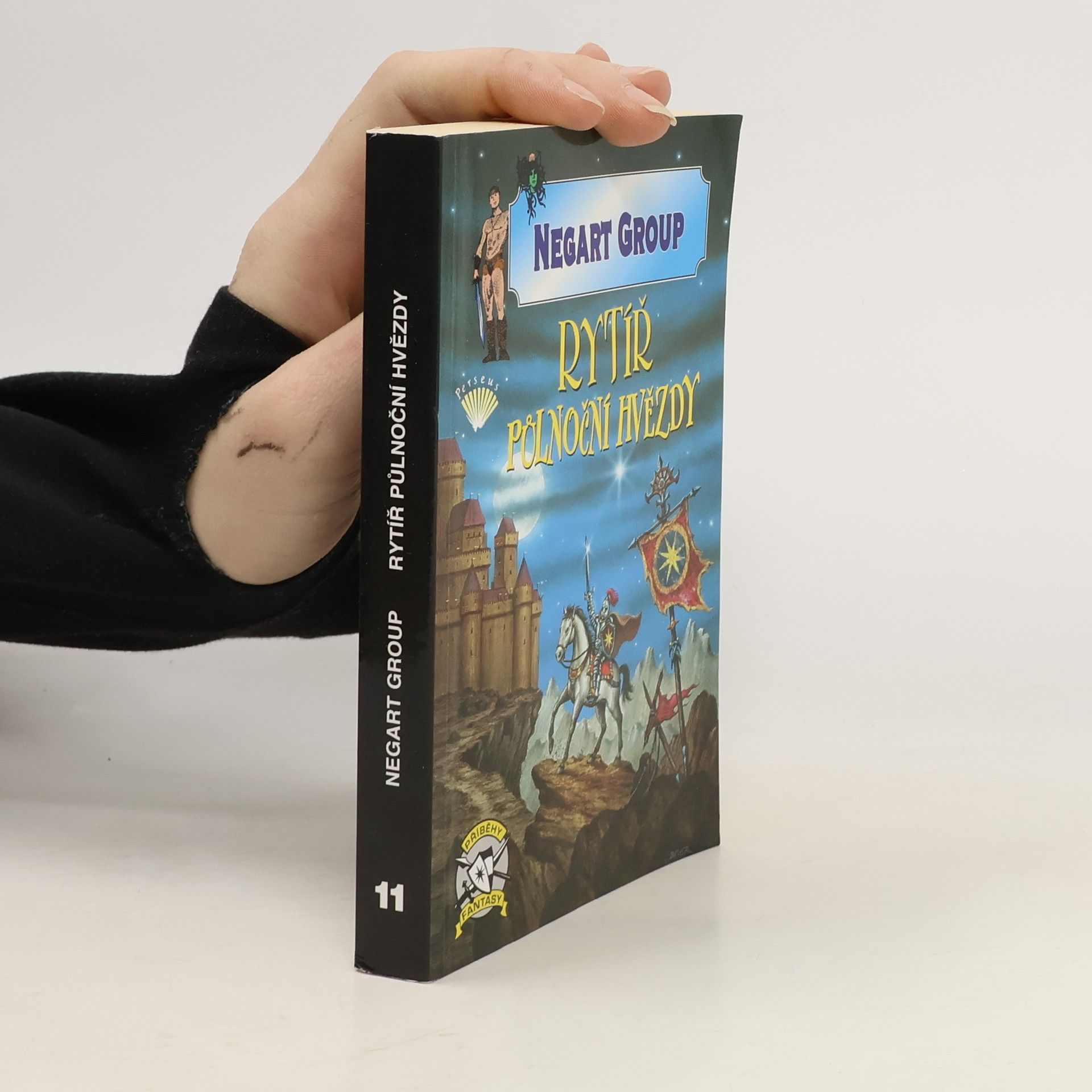 Dach Zbyněk Rytíř Půlnoční hvězdy