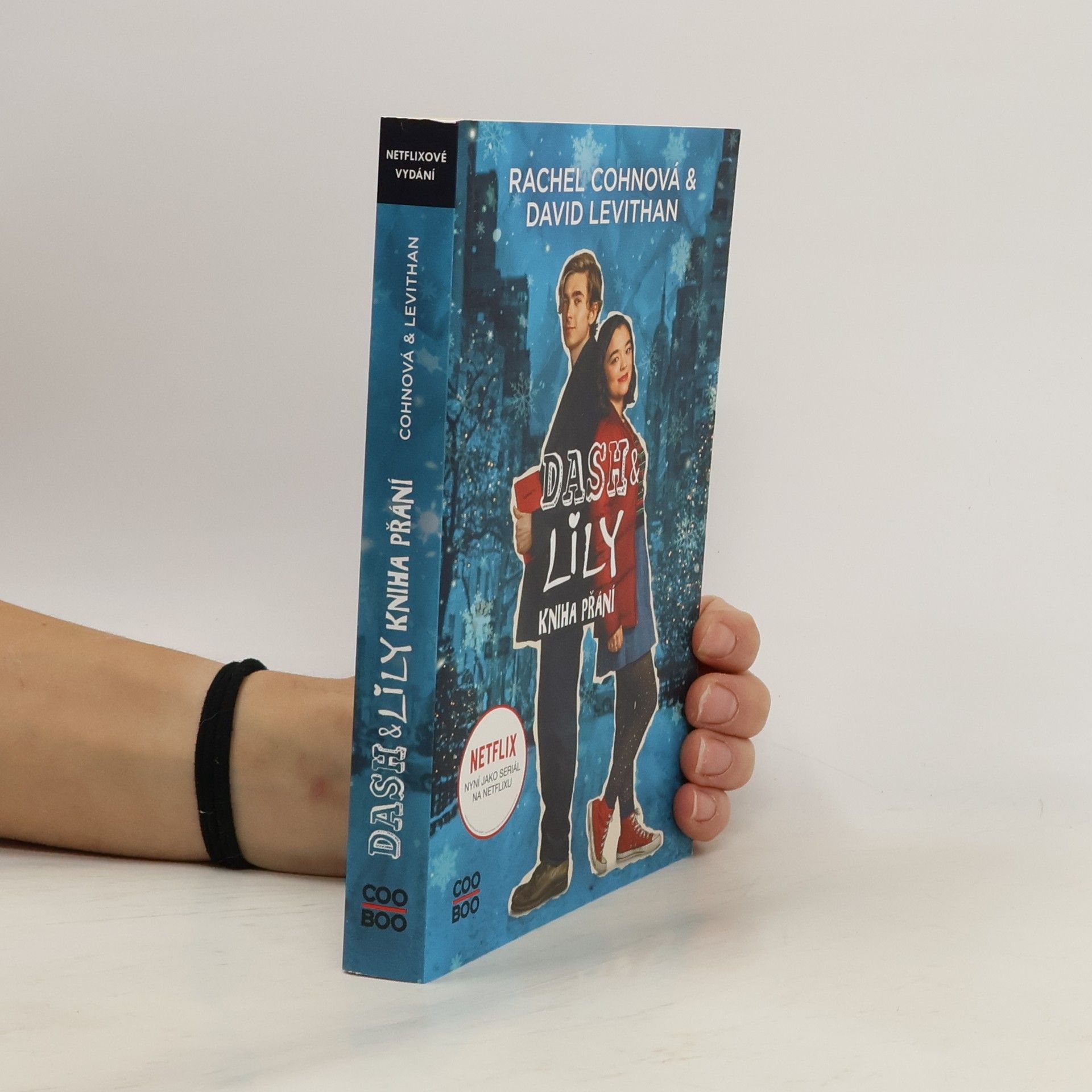 Rachel Cohn Dash & Lily : kniha přání