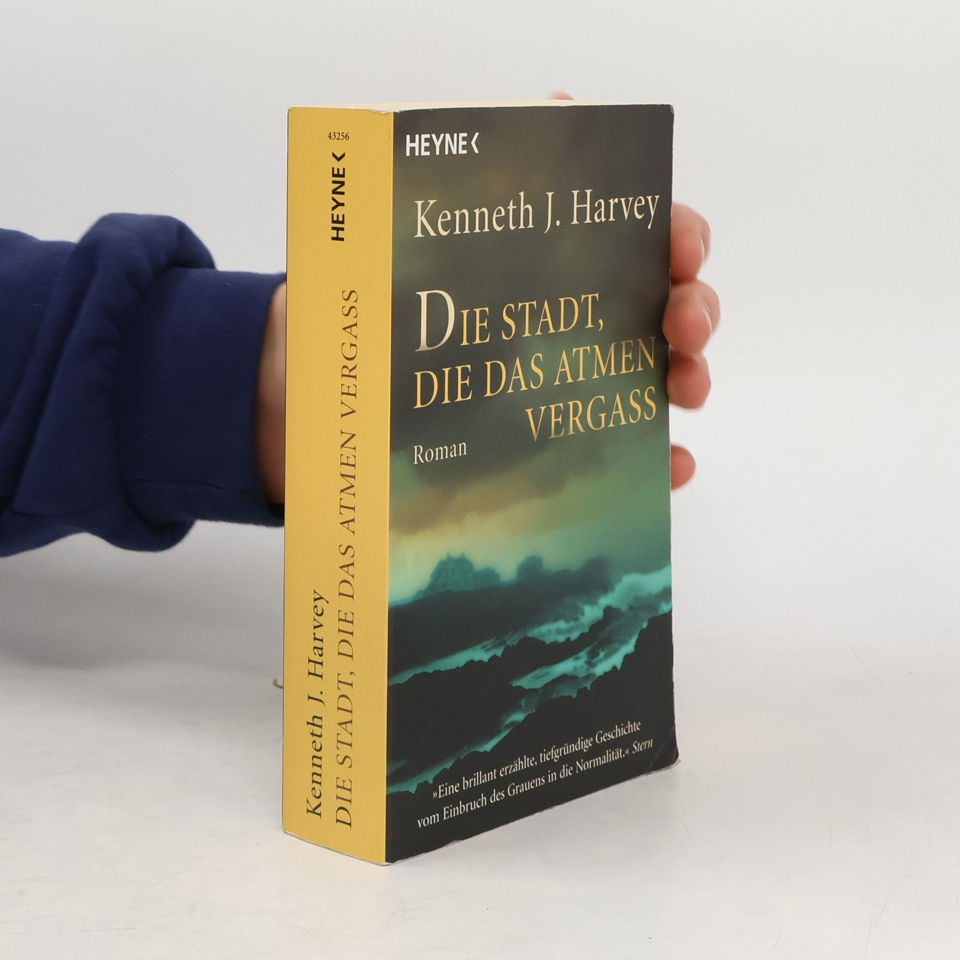 Kenneth J. Harvey Die Stadt die das Atmen vergass