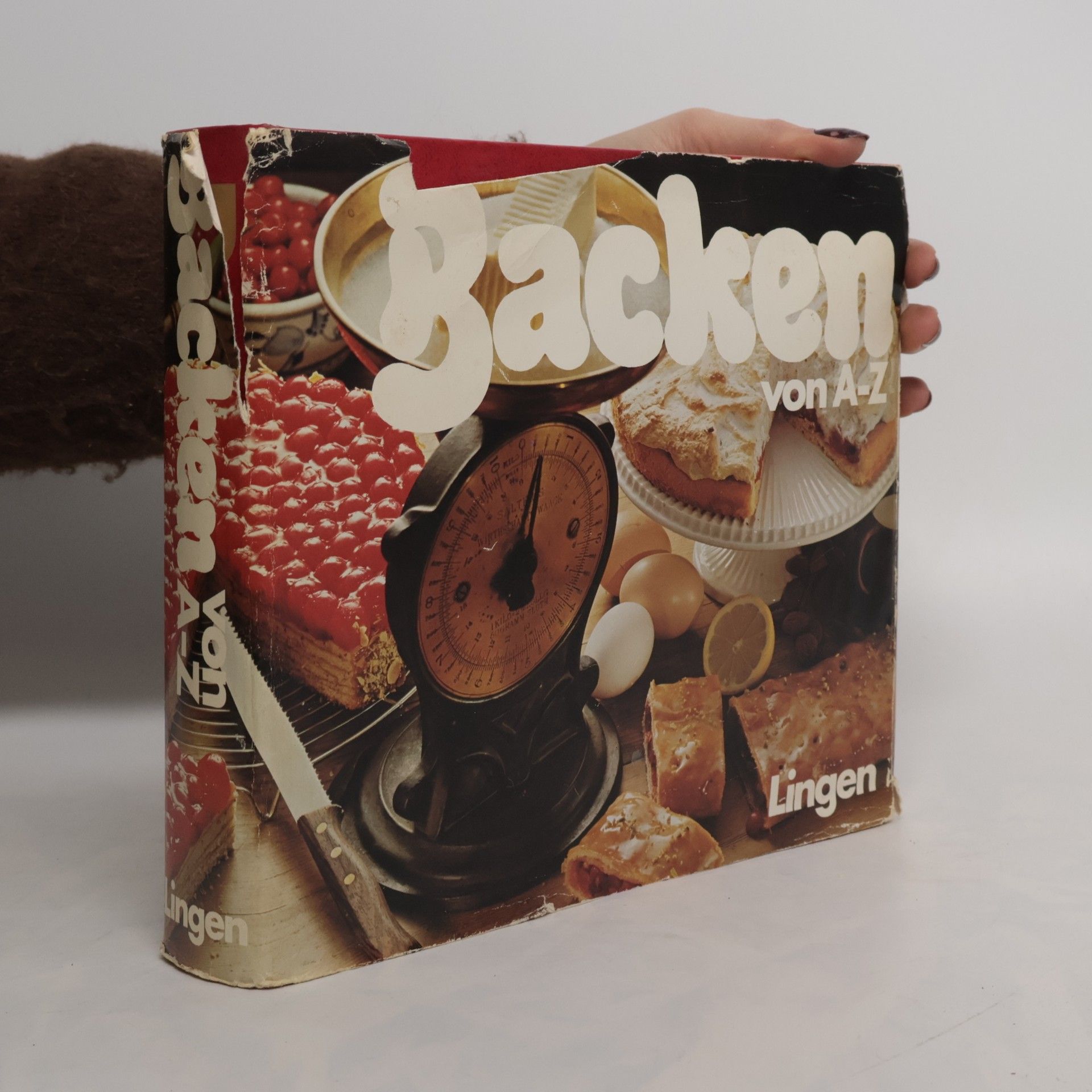 Kolektív autorov Backen von A-Z