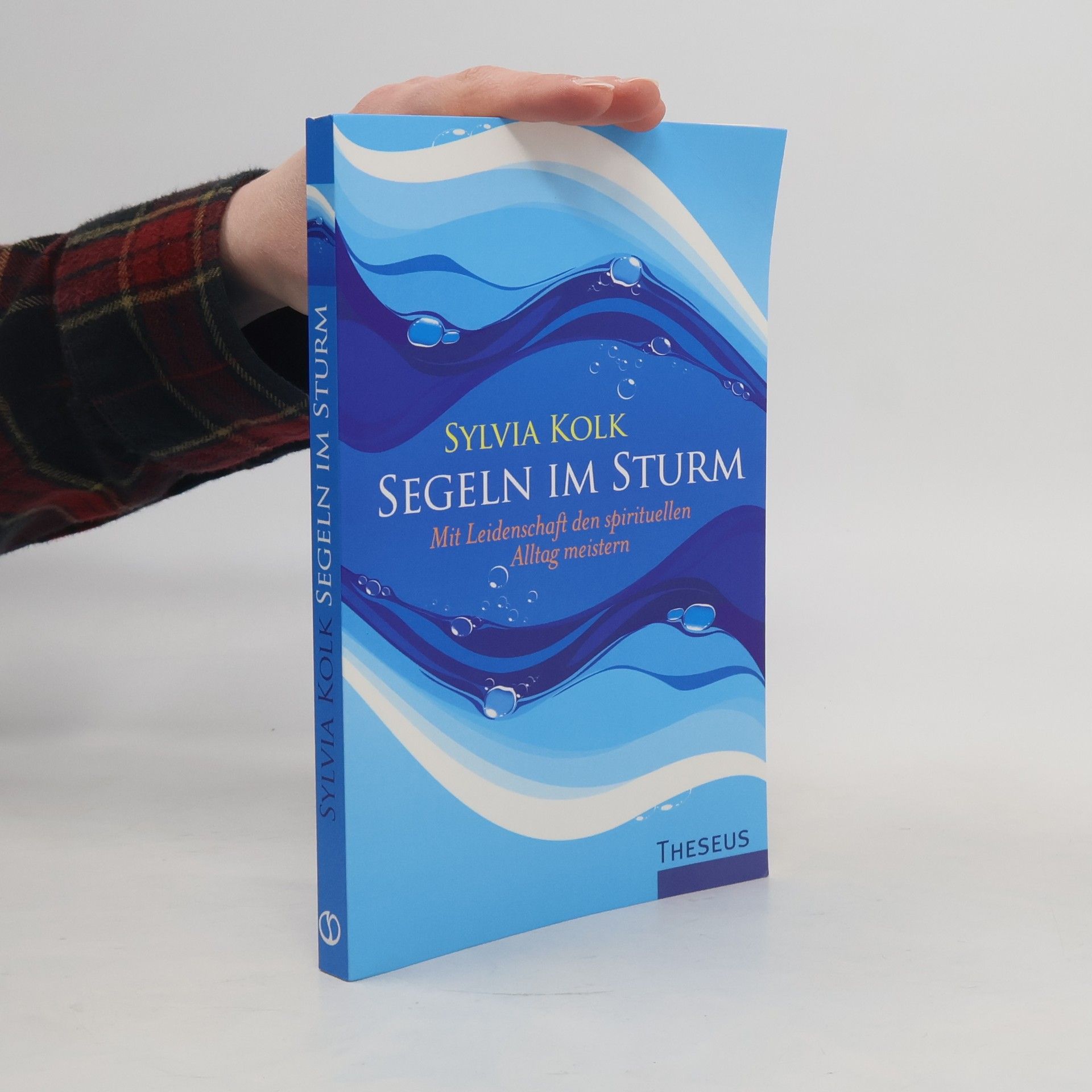 Sylvia Kolk Segeln im Sturm