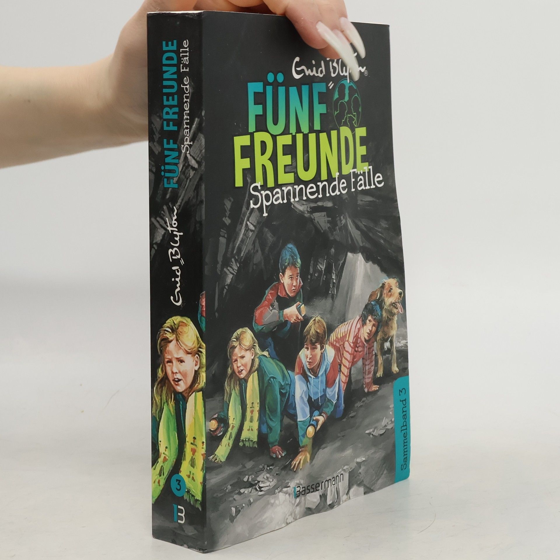 Enid Blyton Fünf Freunde - spannende Fälle