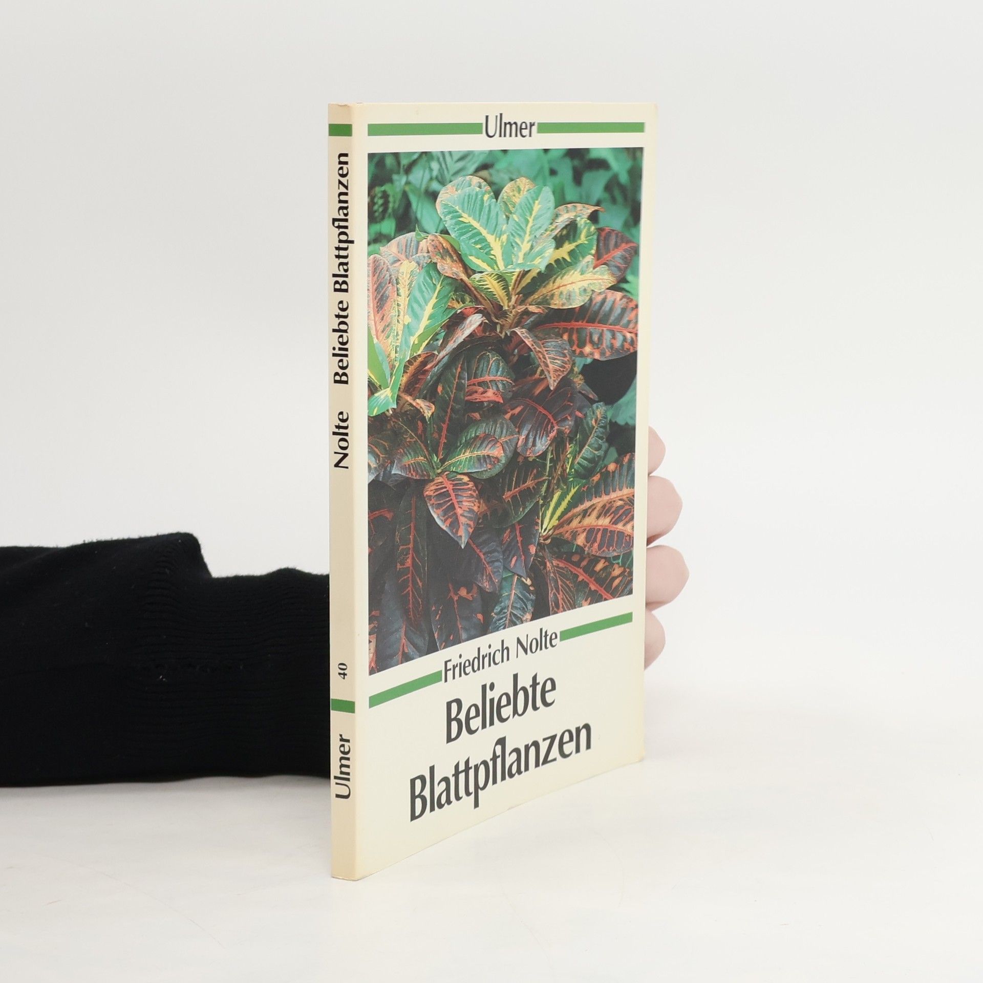 Friedrich Nolte Ulmer Taschenbücher: Beliebte Blattpflanzen