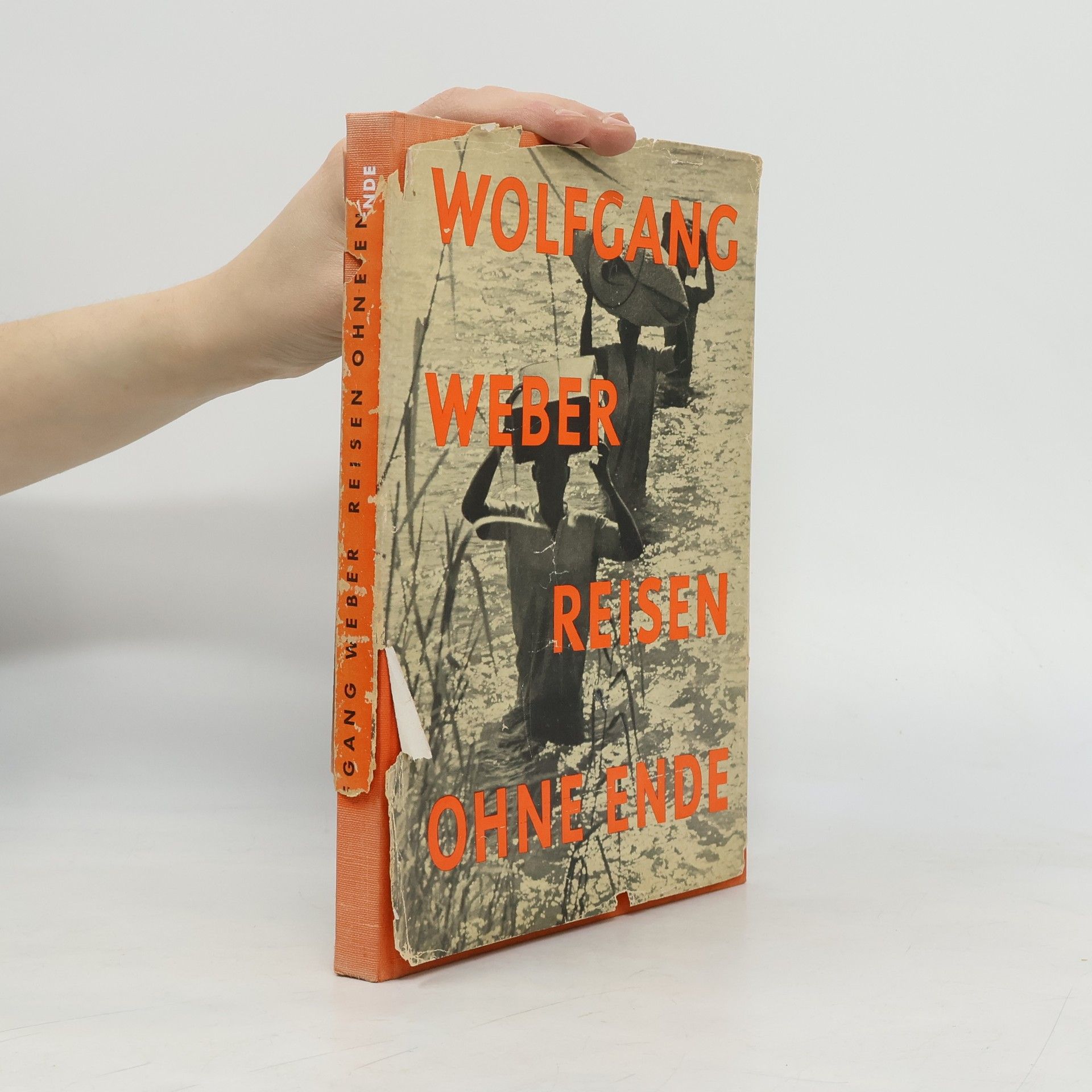 Wolfgang Weber Reisen ohne Ende