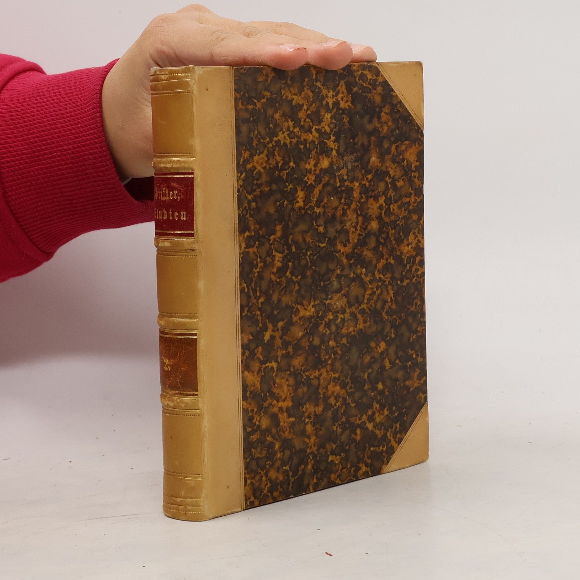 Adalbert Stifters Werke. Band 2