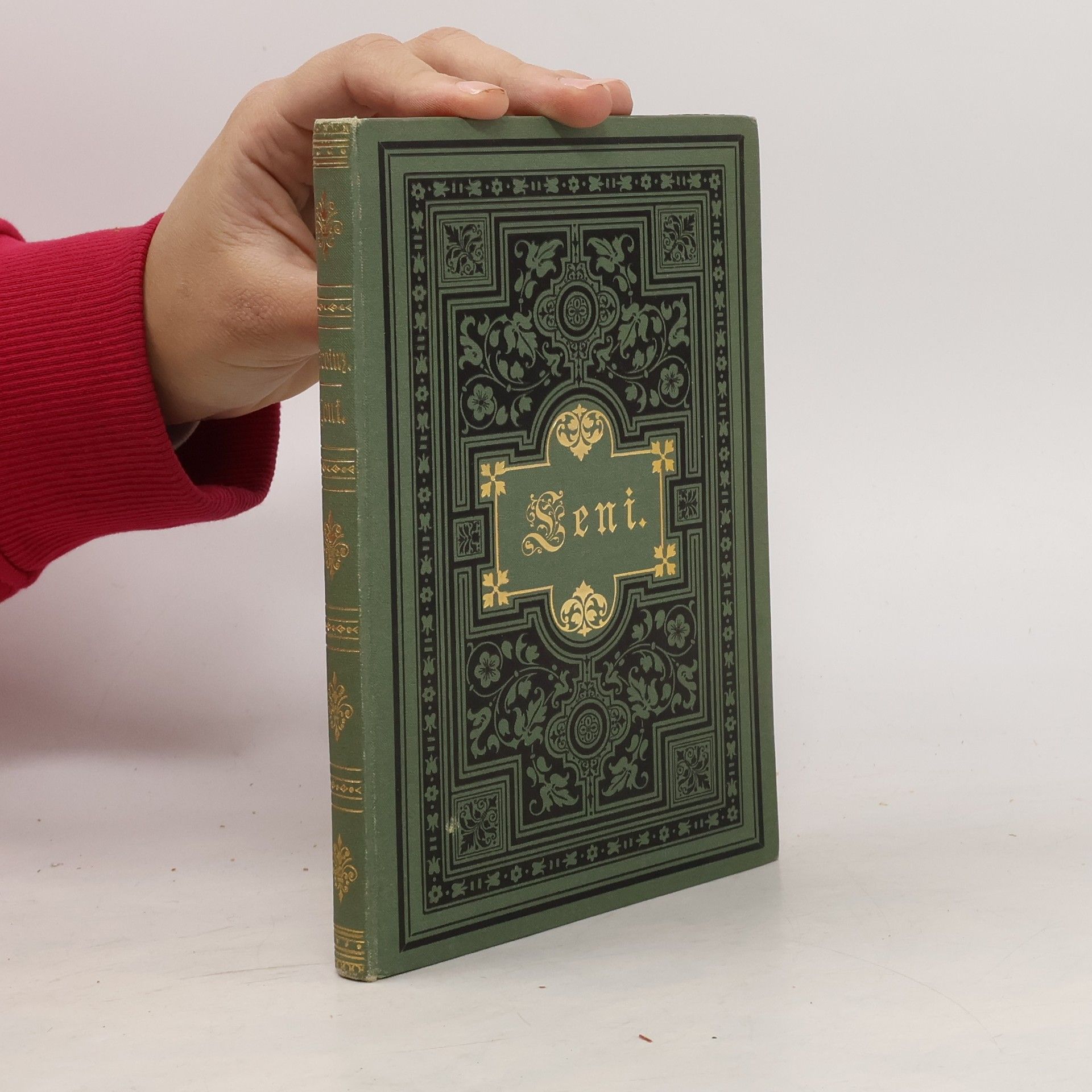 Rudolf Greinz Leni. Eine Tiroler Bauern-Geschichte