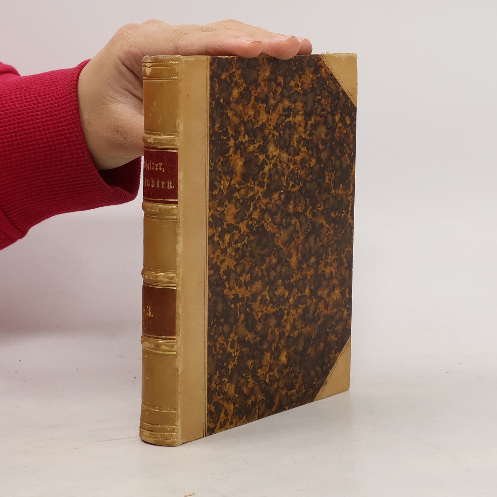 Adalbert Stifter Studien 3