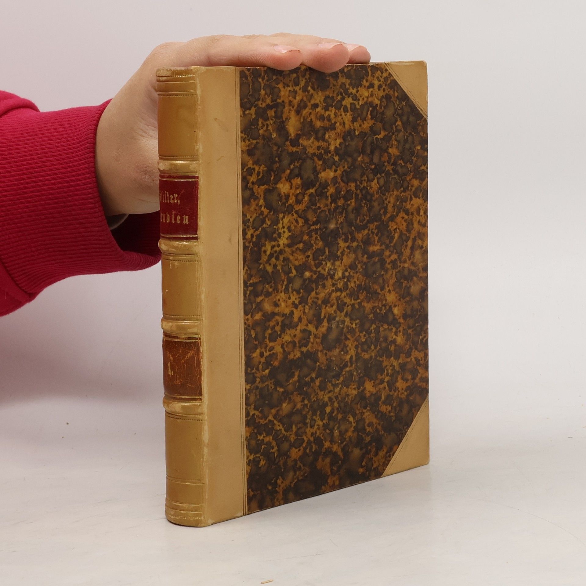 Adalbert Stifters Werke. Band 1