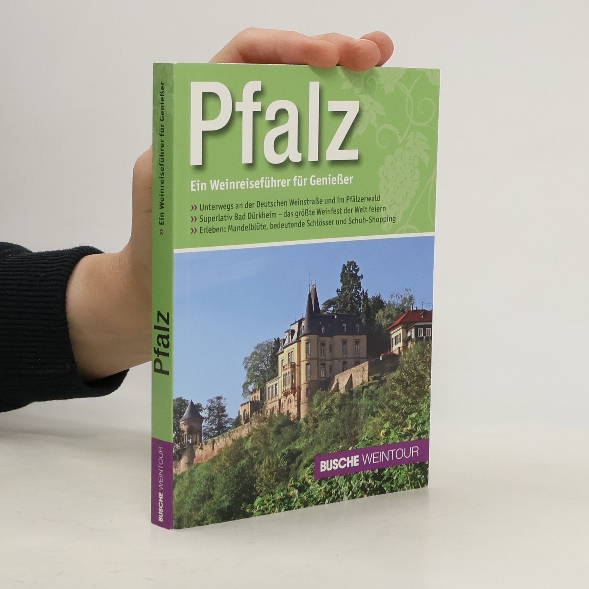 Collectif d'auteurs Pfalz