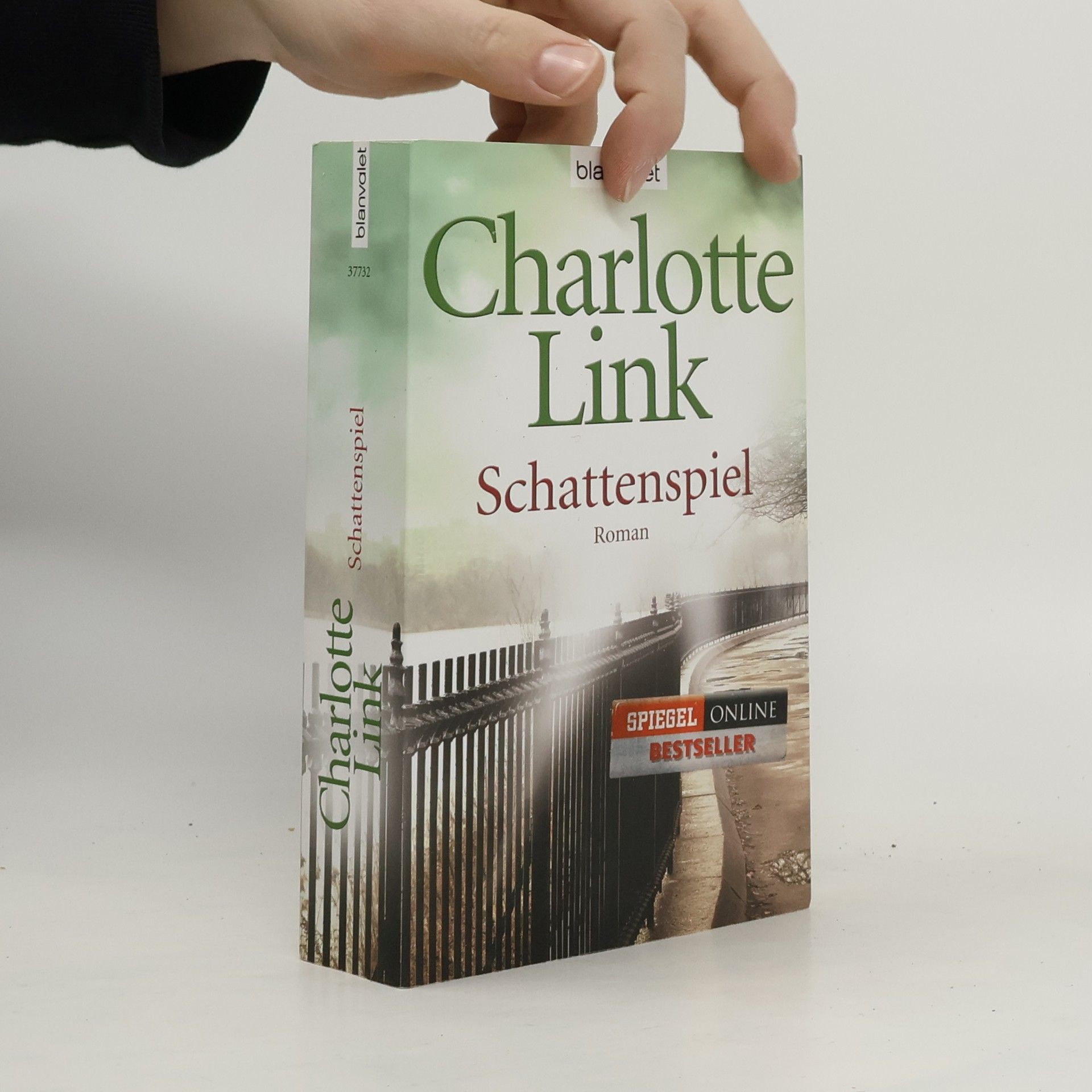 Charlotte Link Schattenspiel