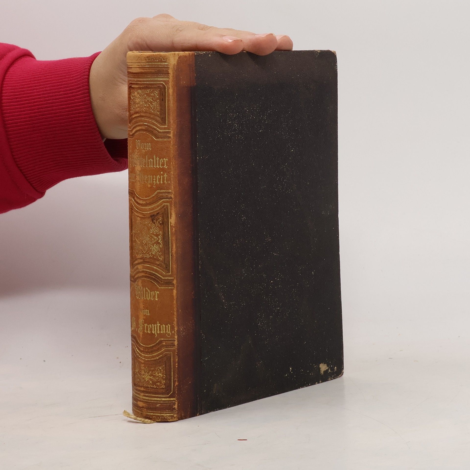 Gustav Freytag Bilder aus der deutschen Vergangenheit. Zweiter Band. Vom Mittelalter zur Neuzeit