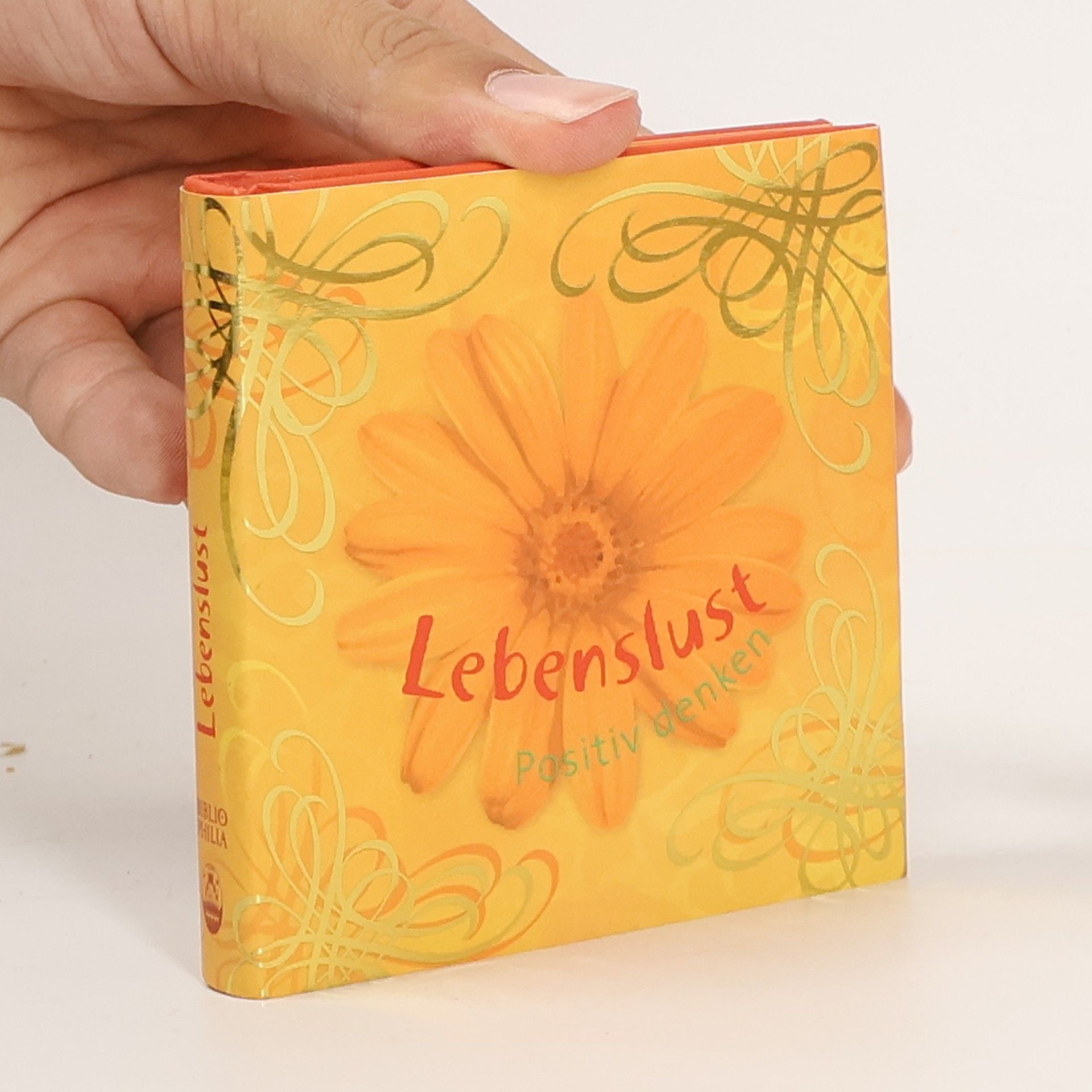 Katrin Gebhardt Lebenslust - positiv denken