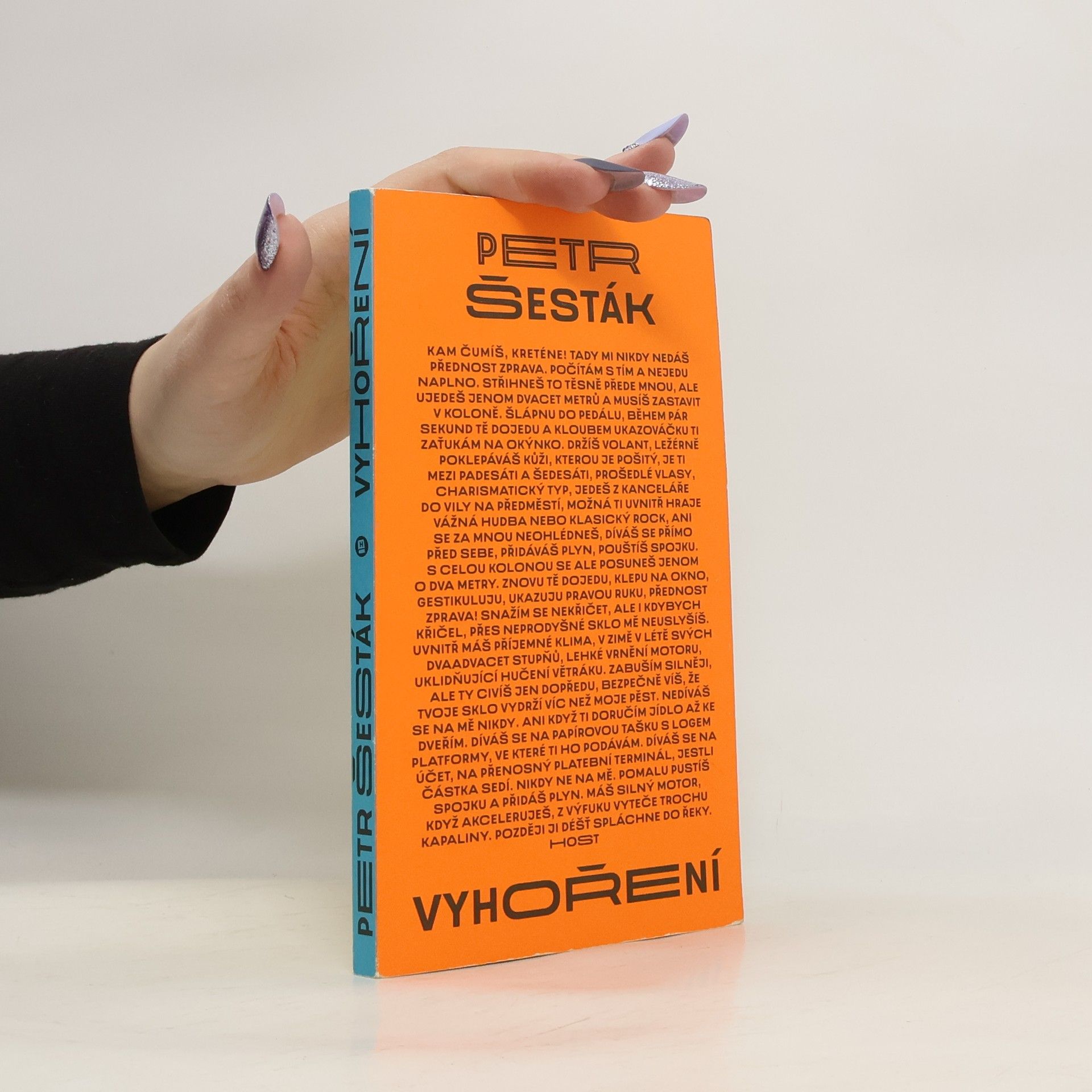 Petr Šesták Vyhoření