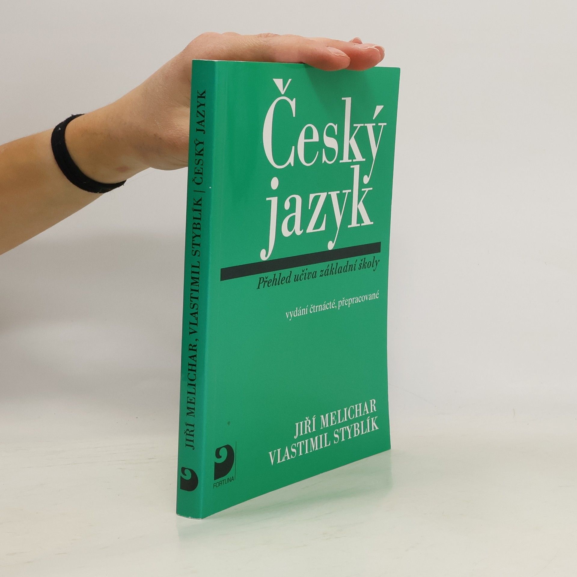 Český jazyk. Přehled učiva základní školy s cvičeními a klíčem