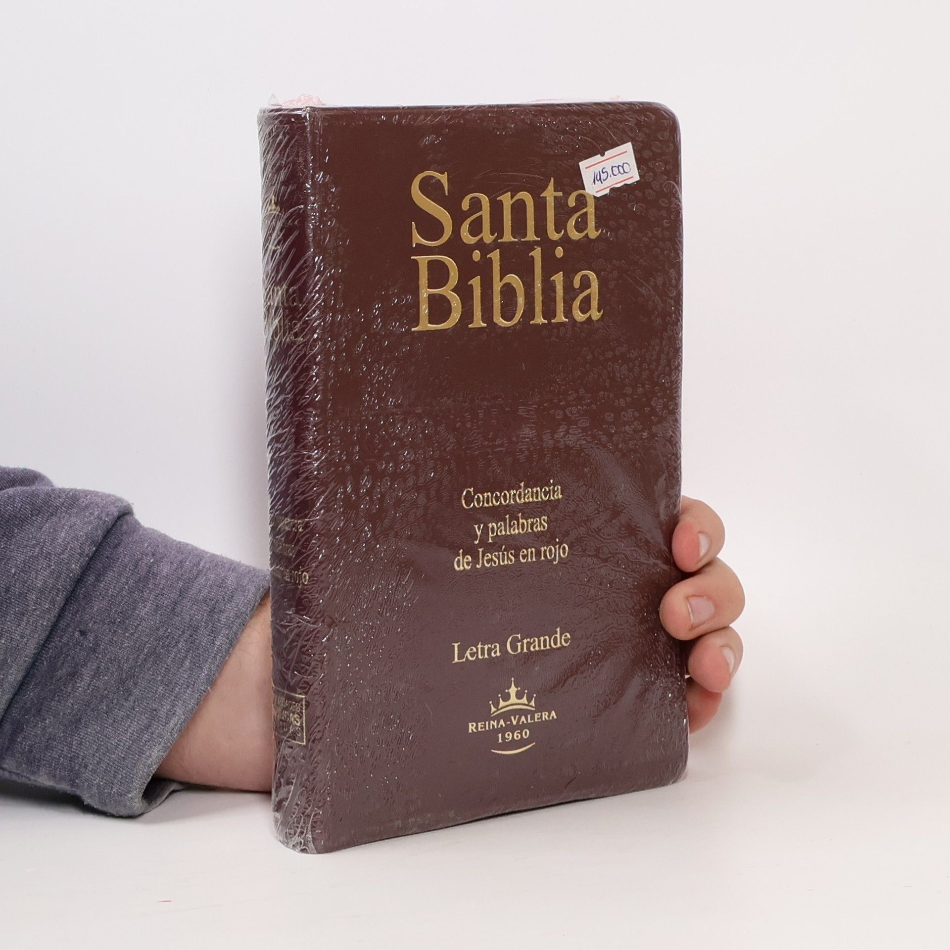 Autores varios Santa Biblia