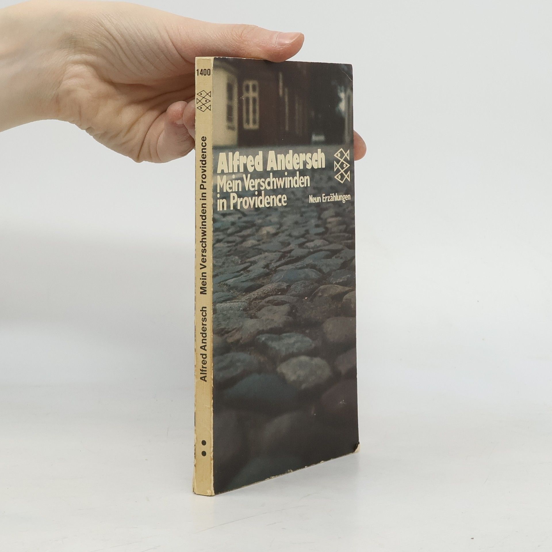 Mein Verschwinden in Providence