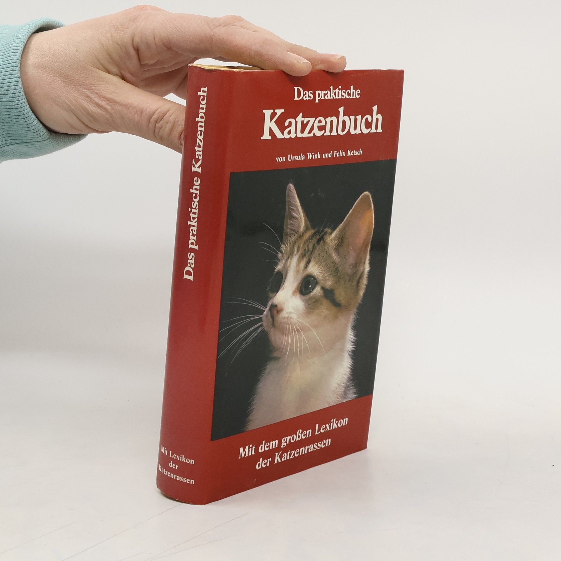 Das praktische Katzenbuch