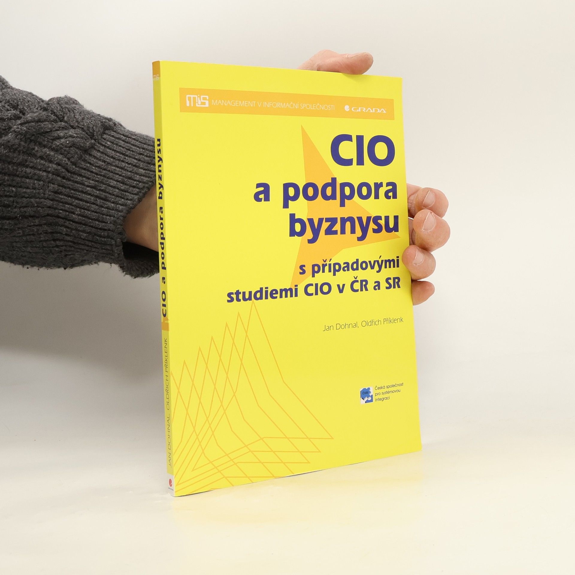 CIO a podpora byznysu: S případovými studiemi CIO v ČR a SR