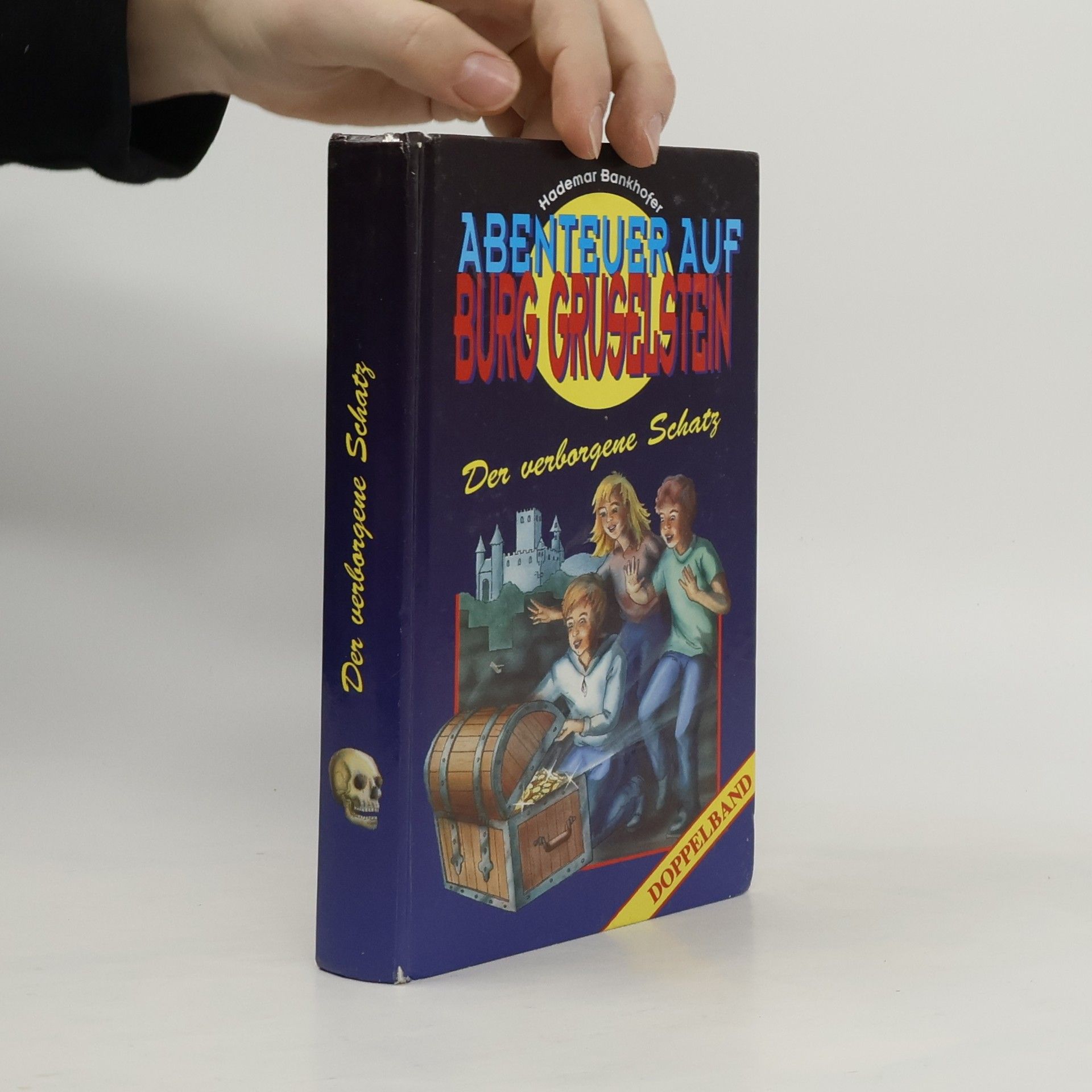 Kolektív autorov Abenteuer auf Burg Gruselstein