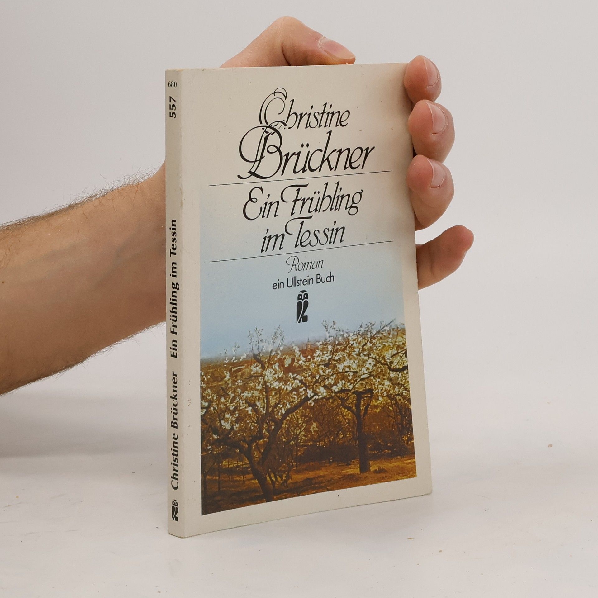 Christine Brückner Ein Frühling im Tessin