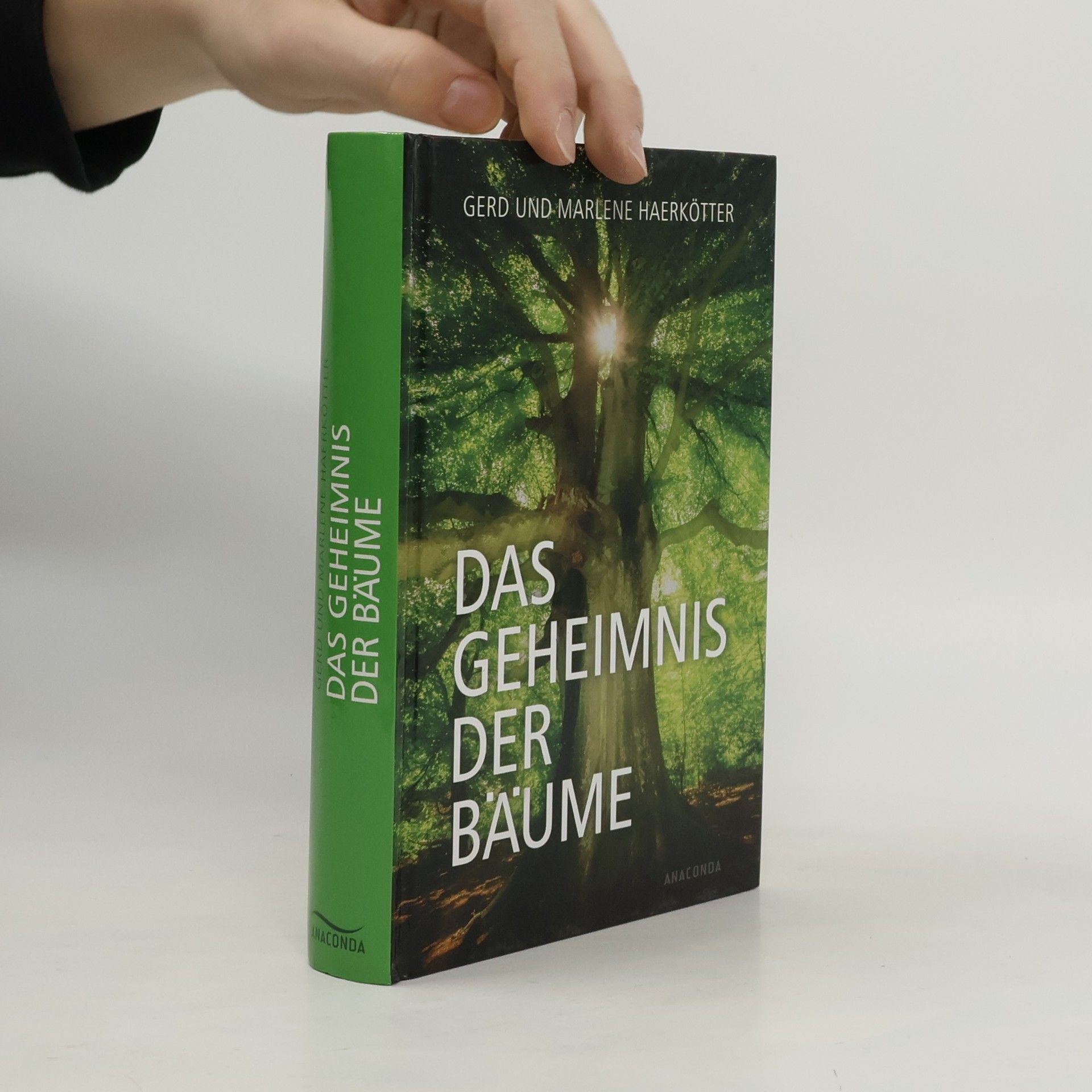 Das Geheimnis der Bäume