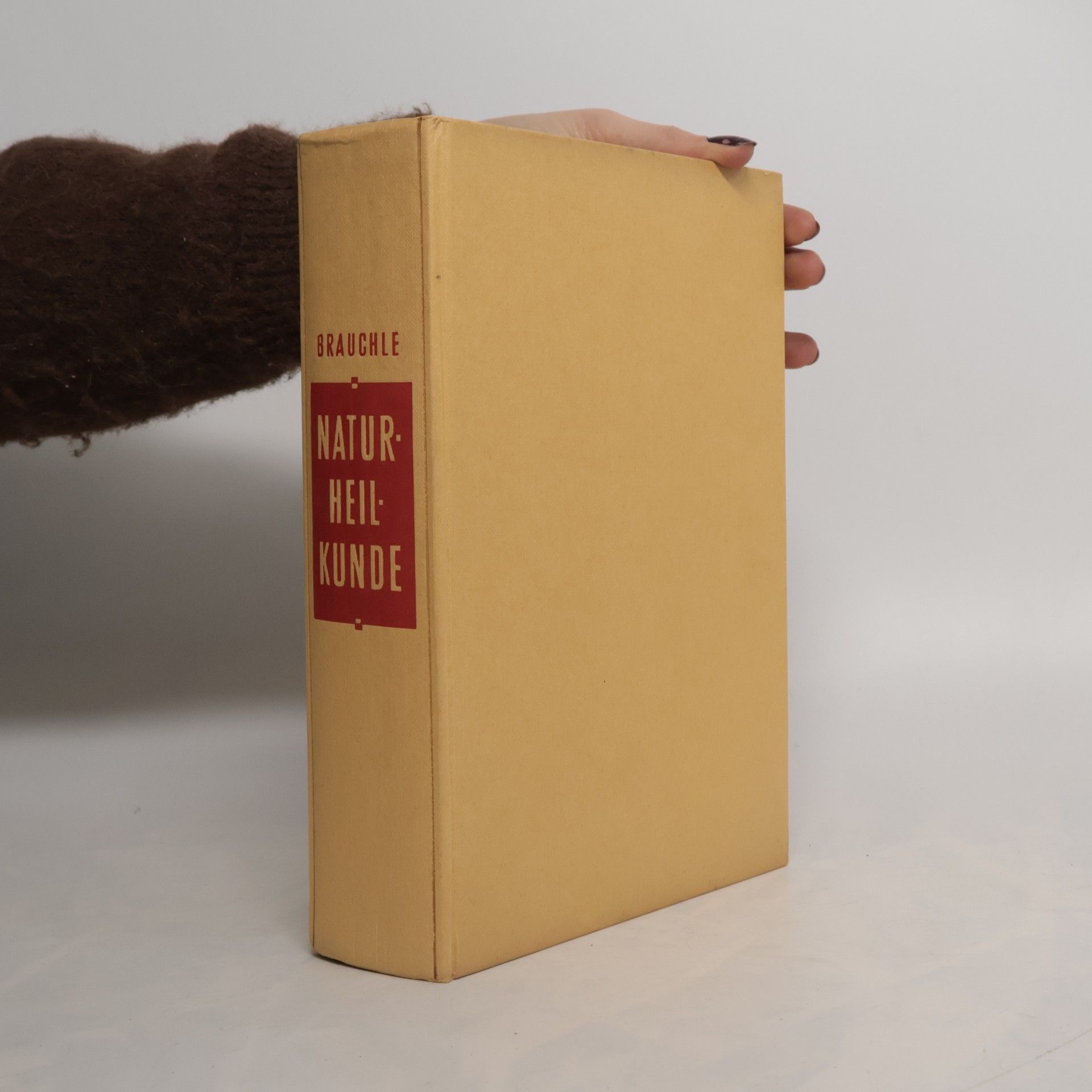 Alfred Brauchle Das große Buch der Naturheilkunde