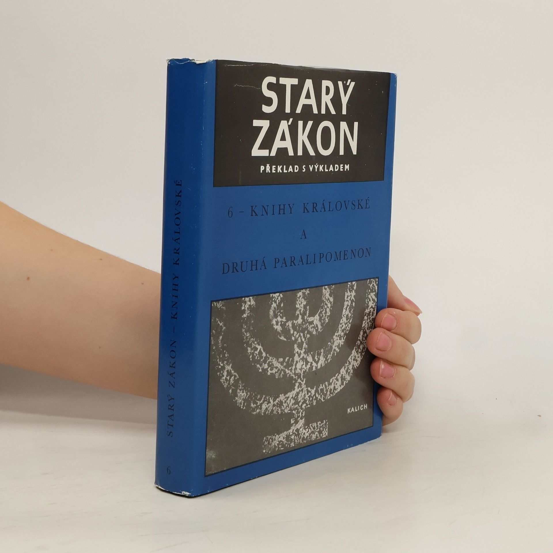 Autorenkollektiv Starý zákon 6. Knihy královské a druhá Paralipomenon