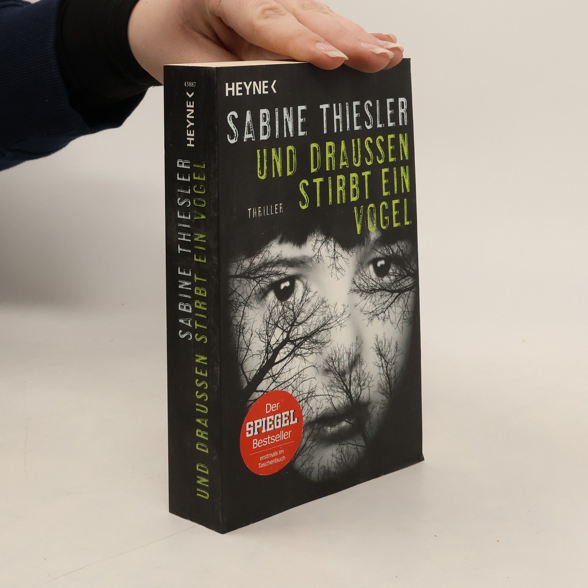 Sabine Thiesler Und draußen stirbt ein Vogel