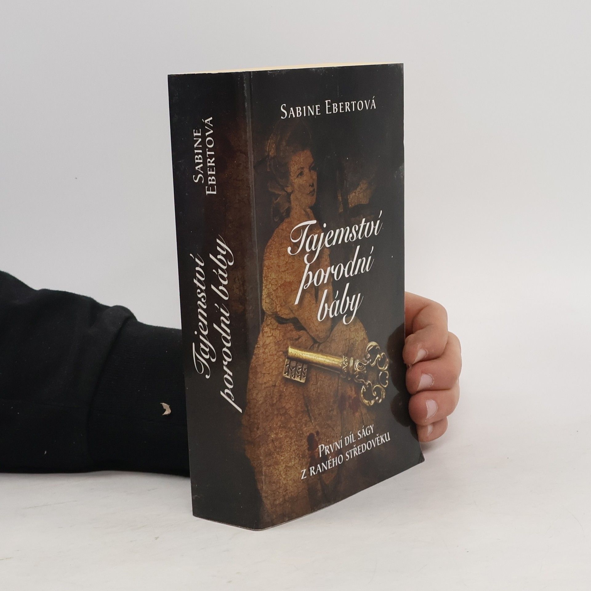 Sabine Ebert Tajemství porodní báby