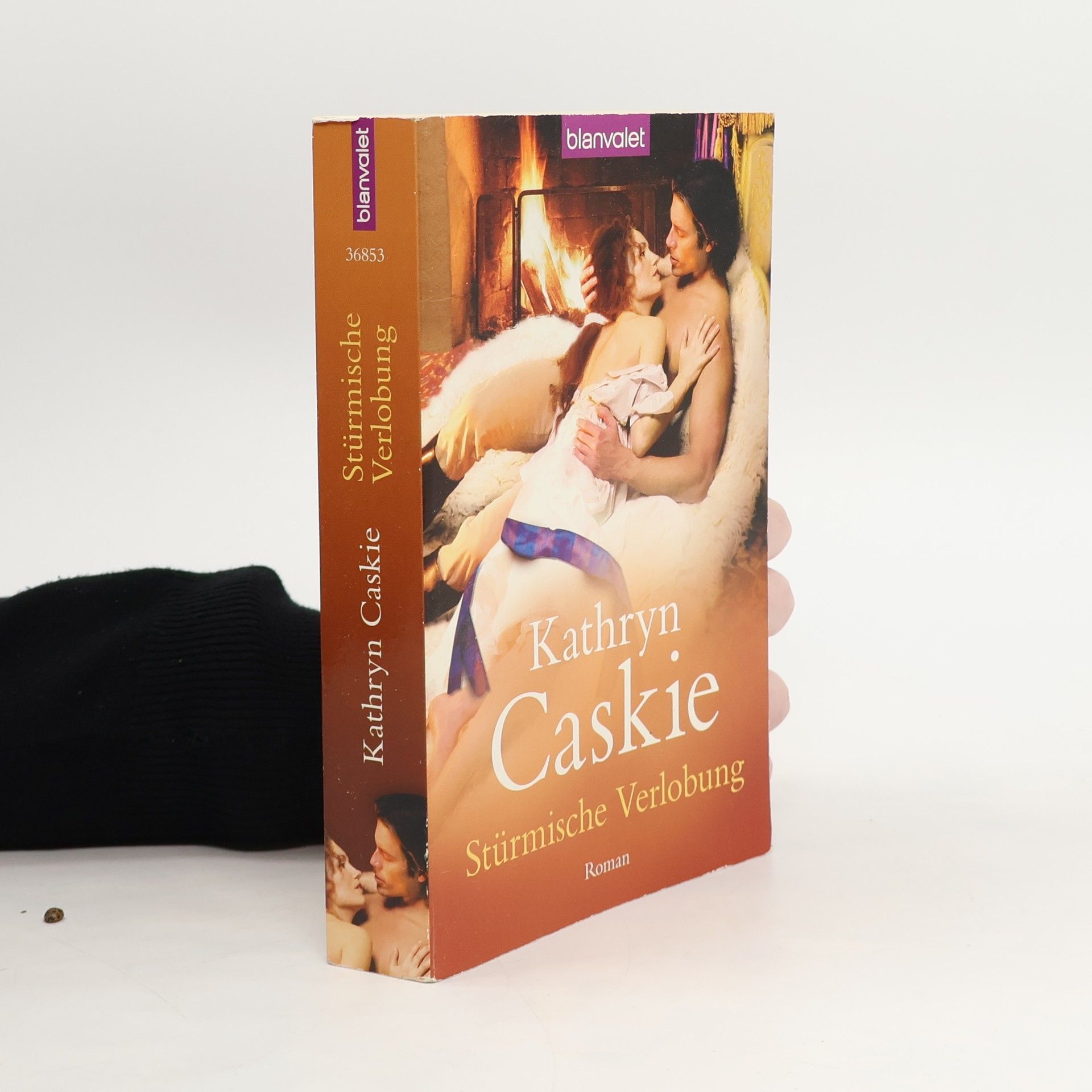 Stürmische Verlobung. Roman