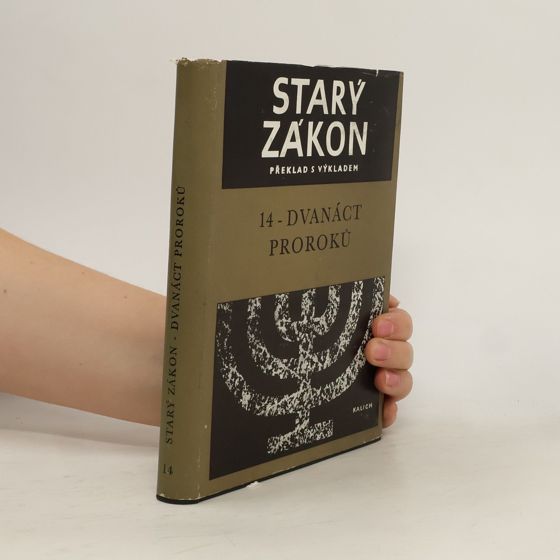 Collectif d'auteurs Starý zákon 14 - Dvanáct proroků
