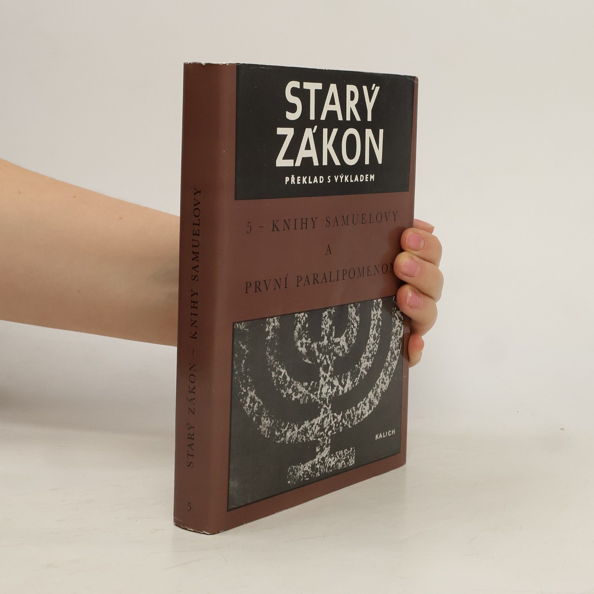 Autorenkollektiv Starý zákon. Překlad s výkladem 5. Knihy Samuelovy a První Paralipomenon