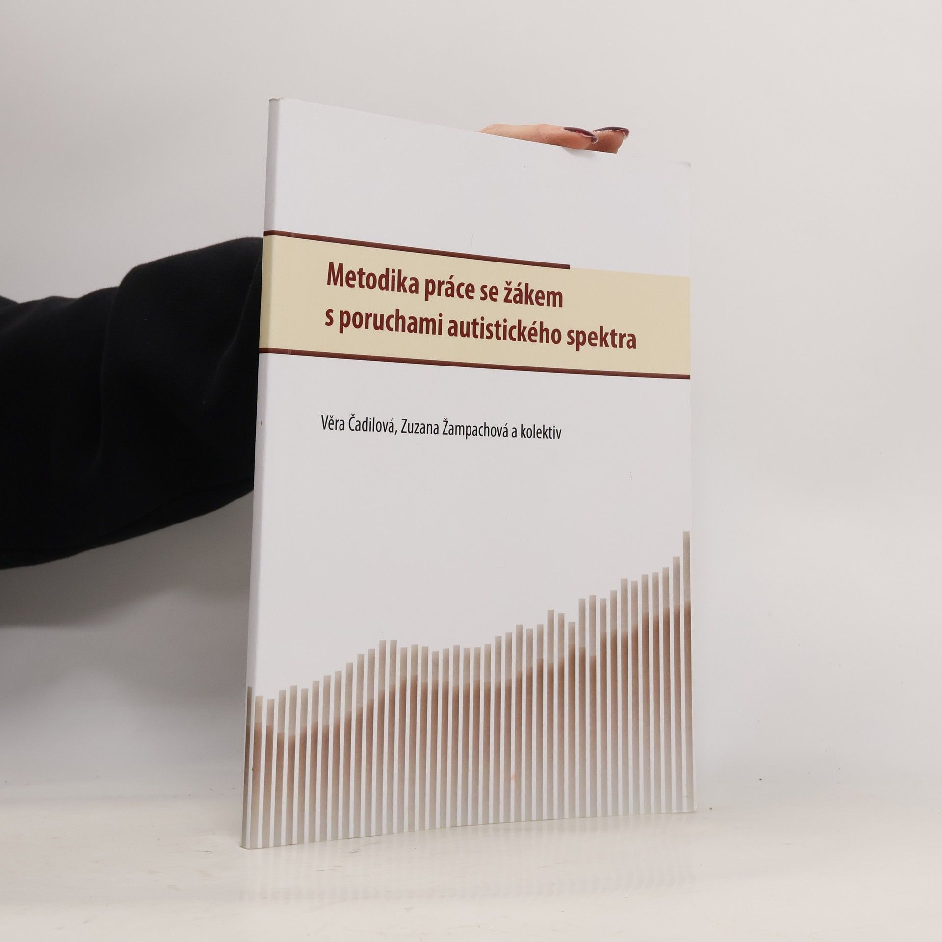 Metodika práce se žákem s poruchami autistického spektra