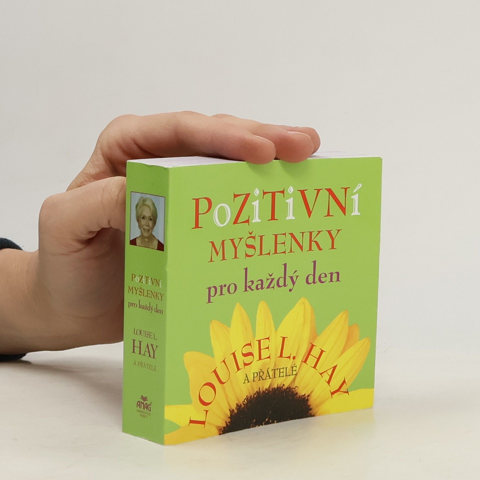 Lousie L. Hay Pozitivní myšlenky pro každý den