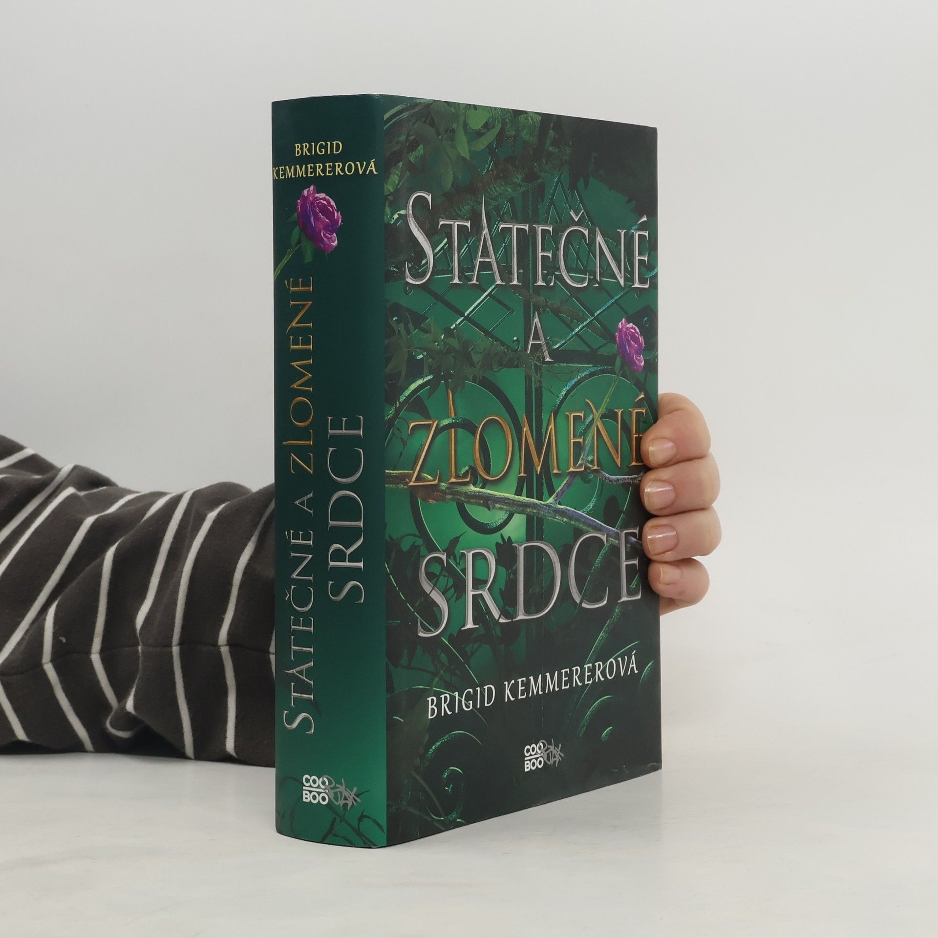 Brigid Kemmerer Statečné a zlomené srdce