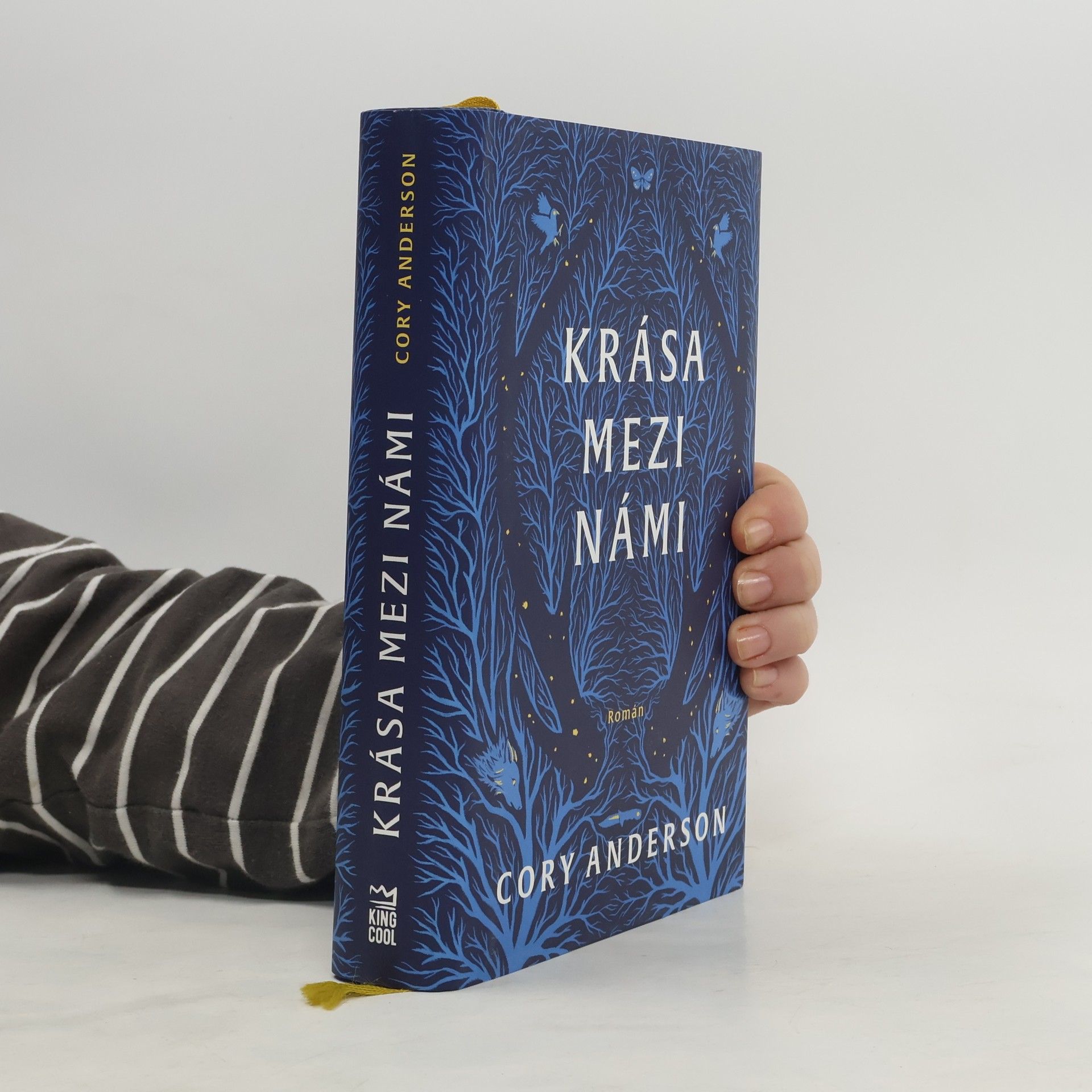 Cory L. Anderson Krása mezi námi