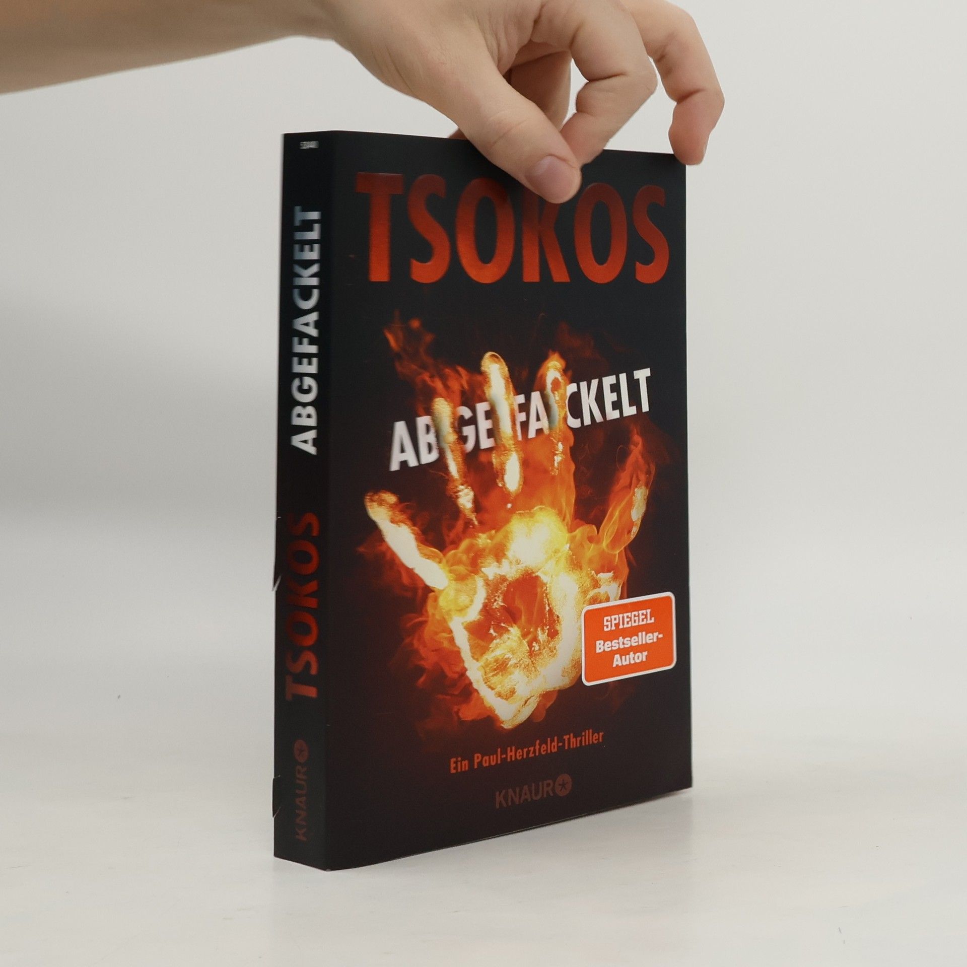 Michael Tsokos Abgefackelt